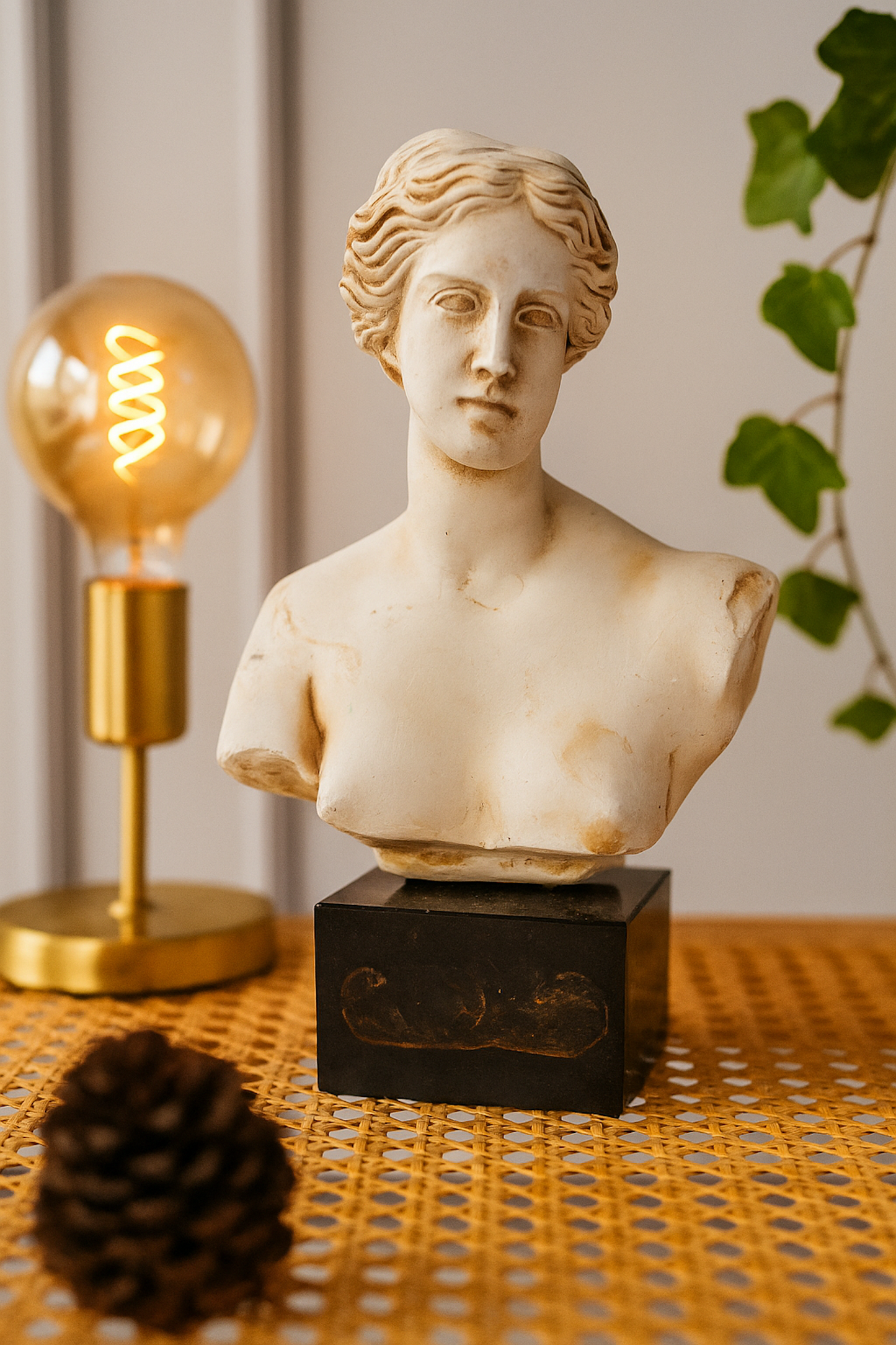 Buste de Venus