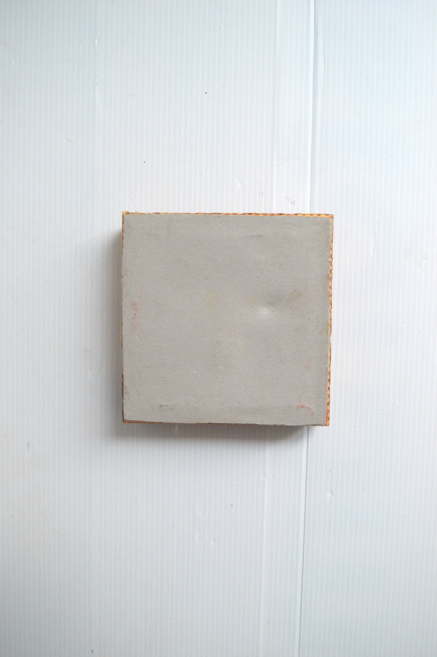 Petit cadre scorpion naturalisé