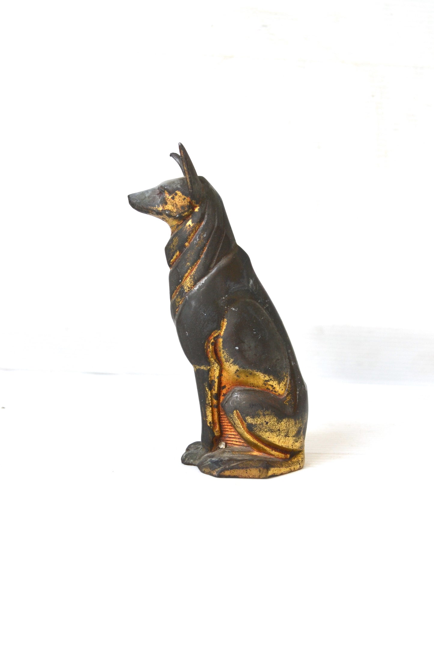 Chien doré