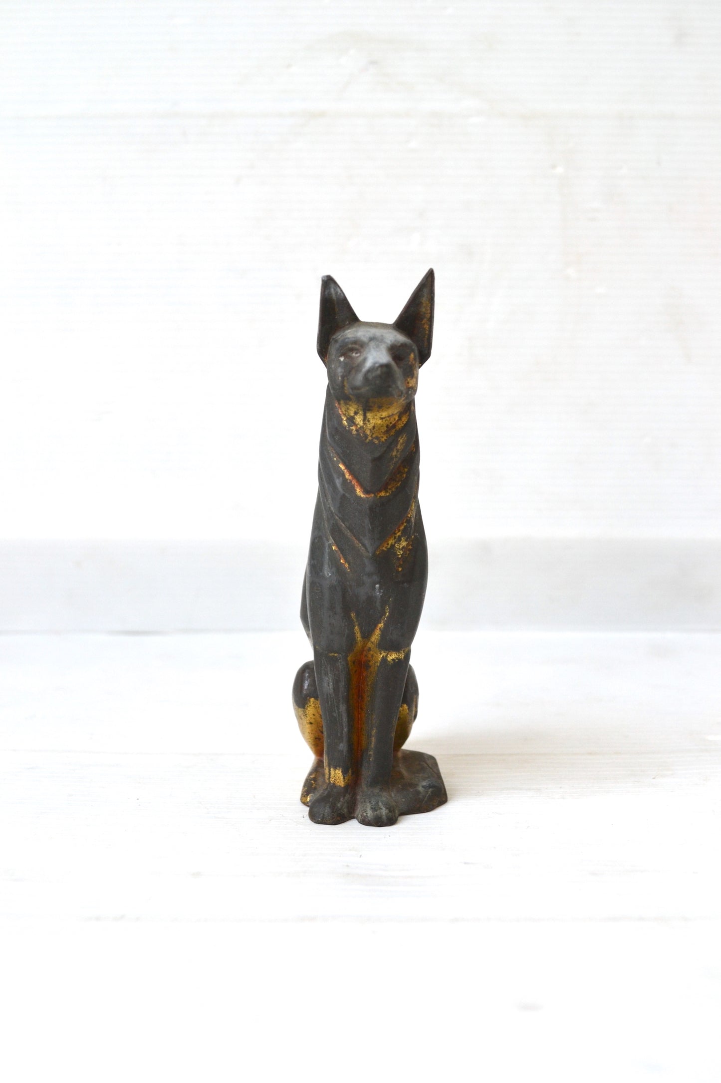 Chien doré