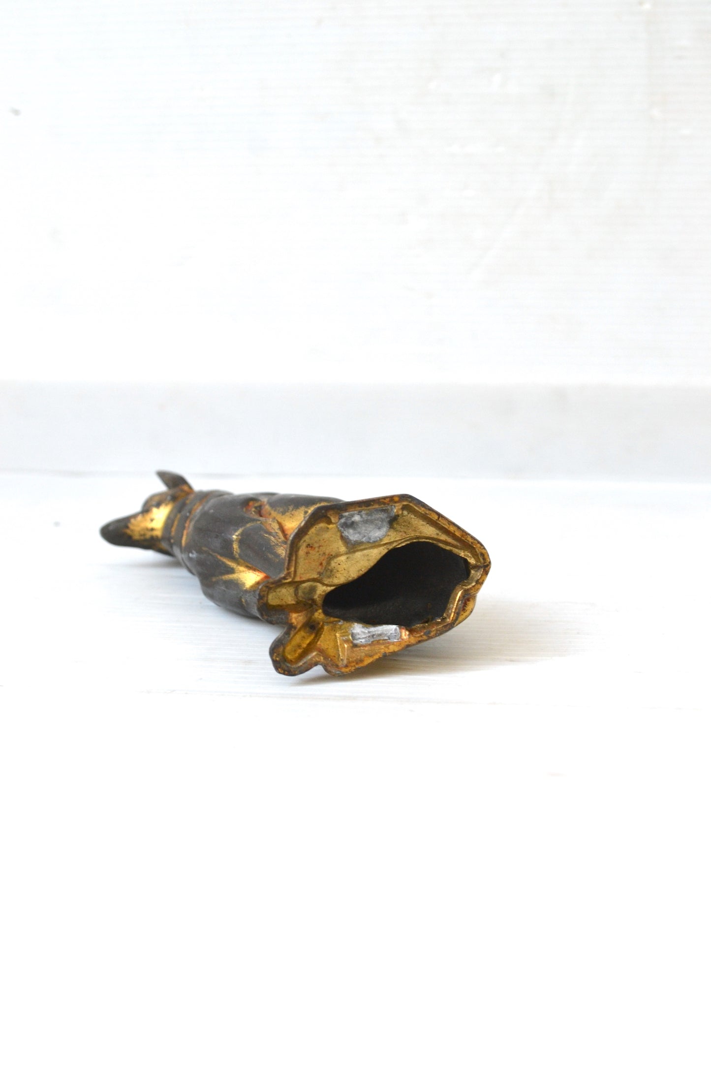 Chien doré