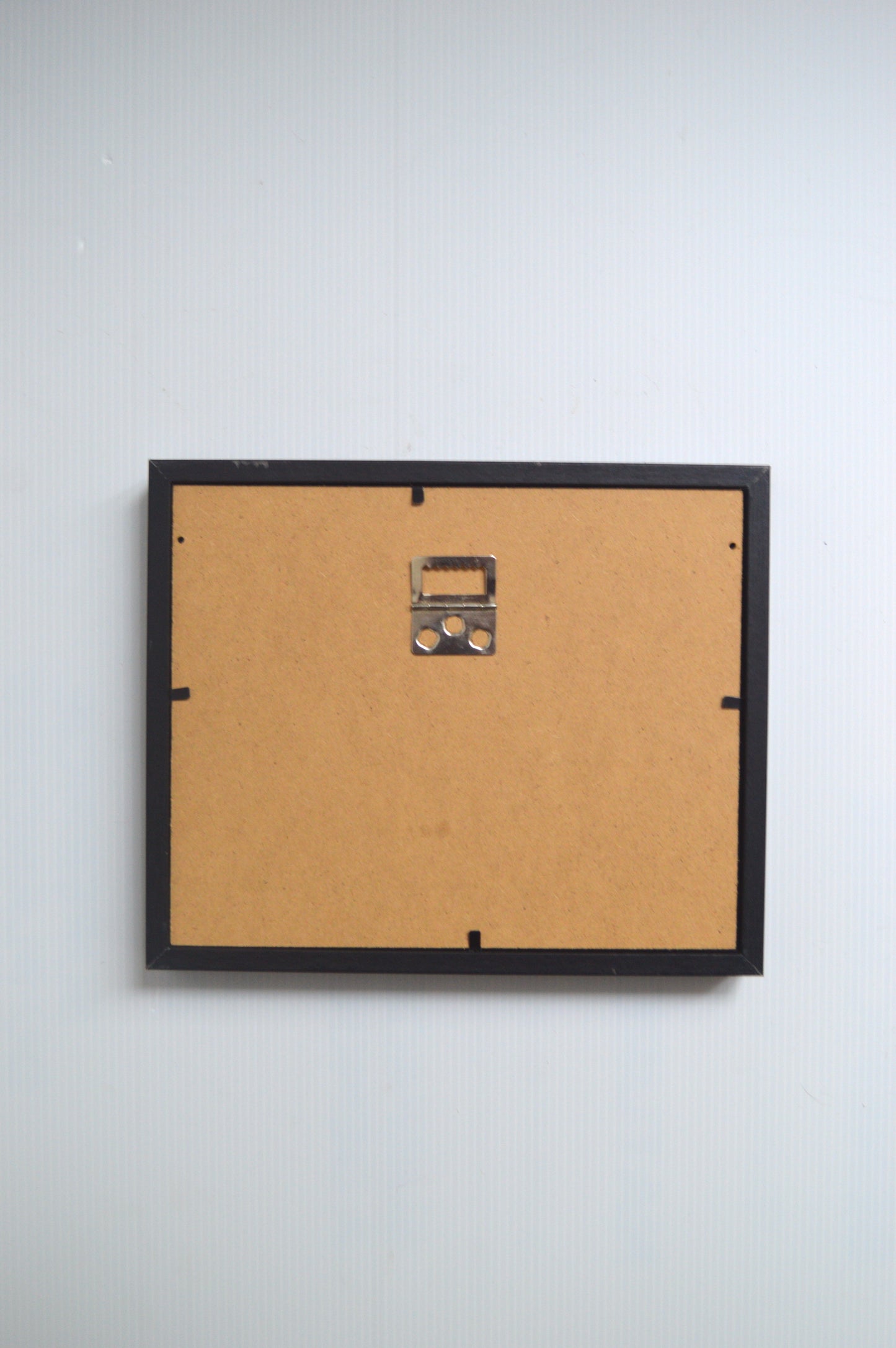 Cadre vitrine papillon naturalisé