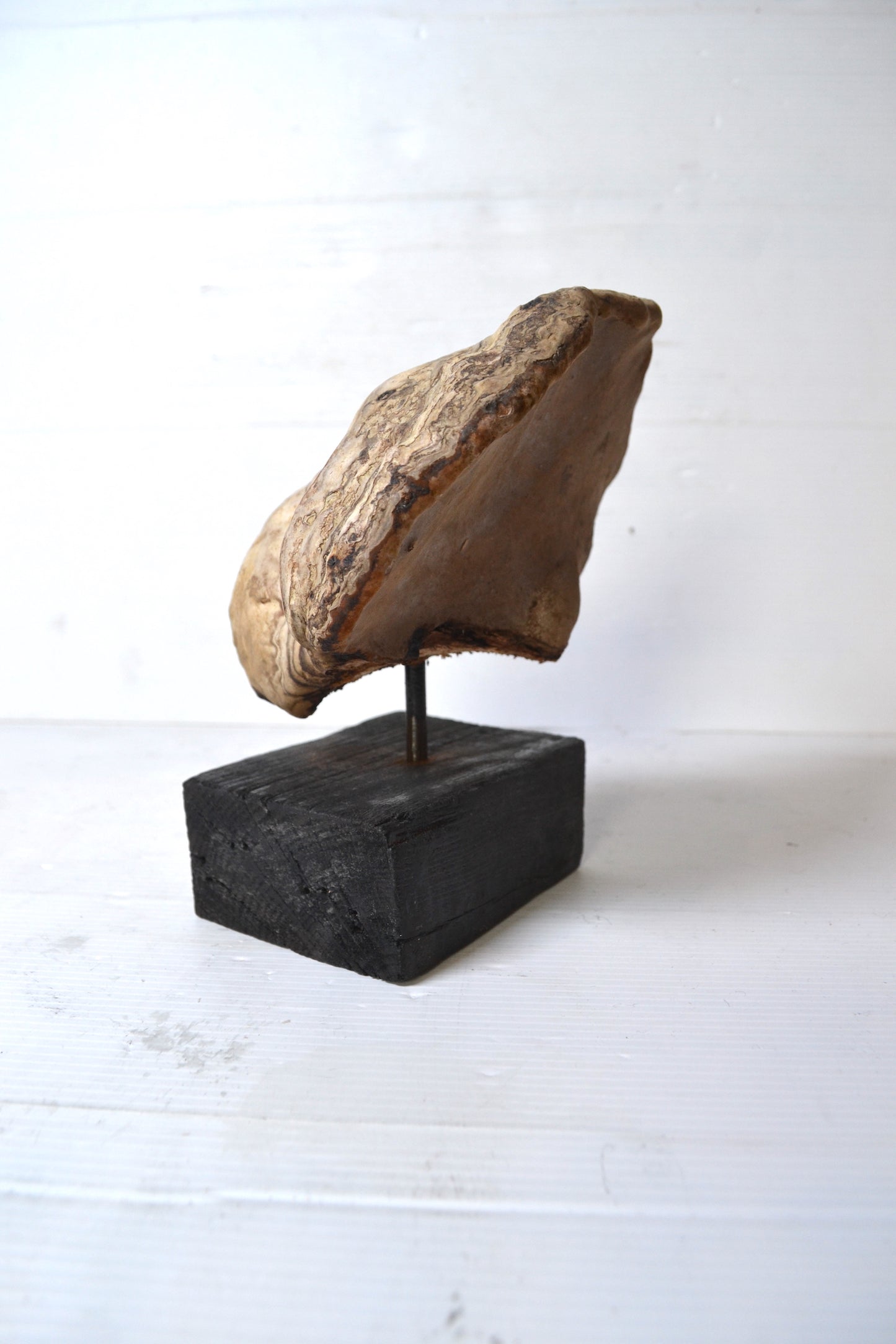 Champignon sur socle