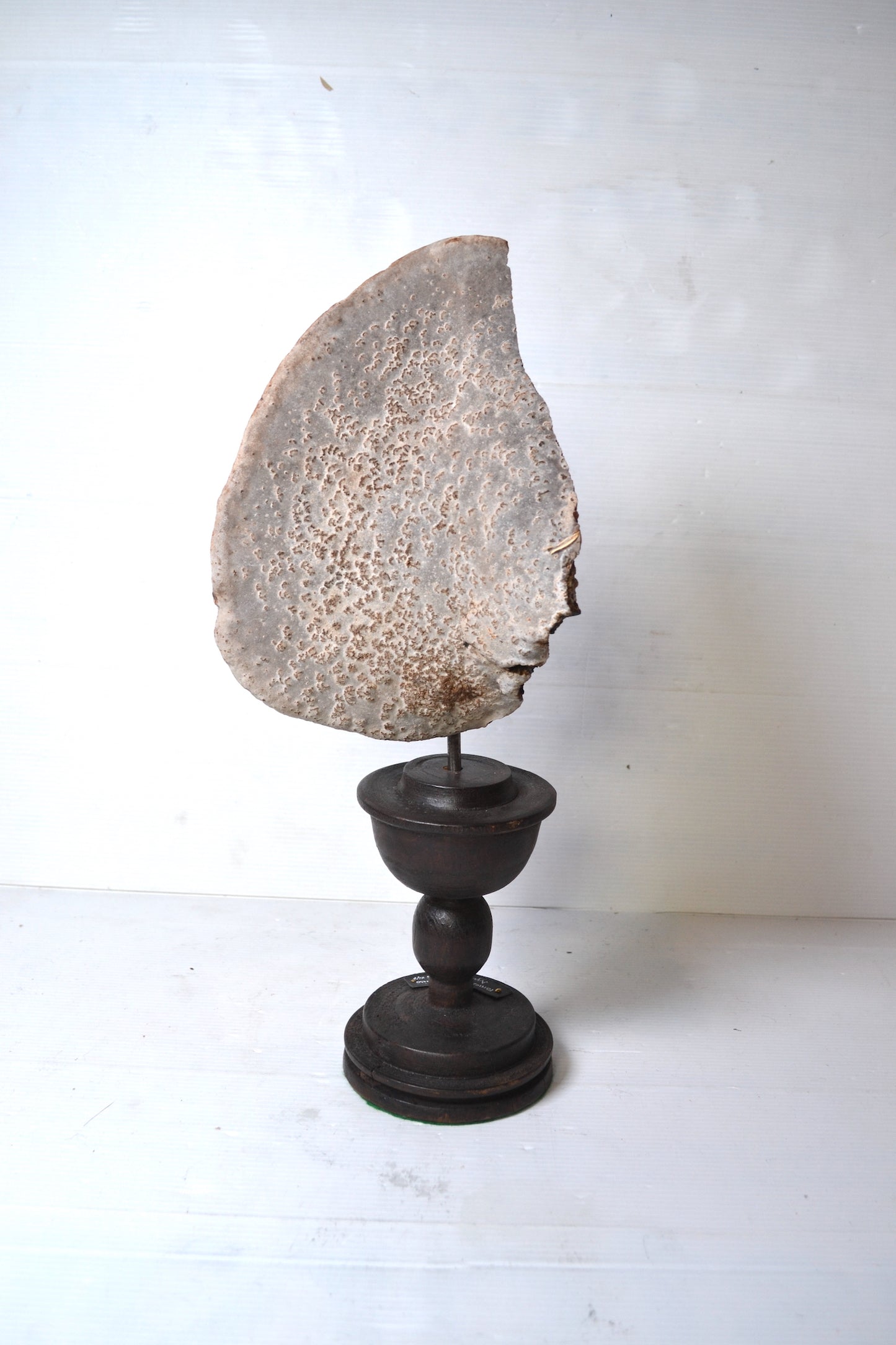 Champignon sur socle