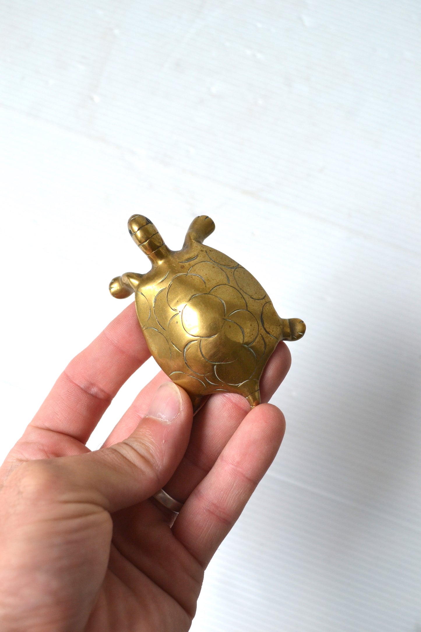 Tortue en laiton