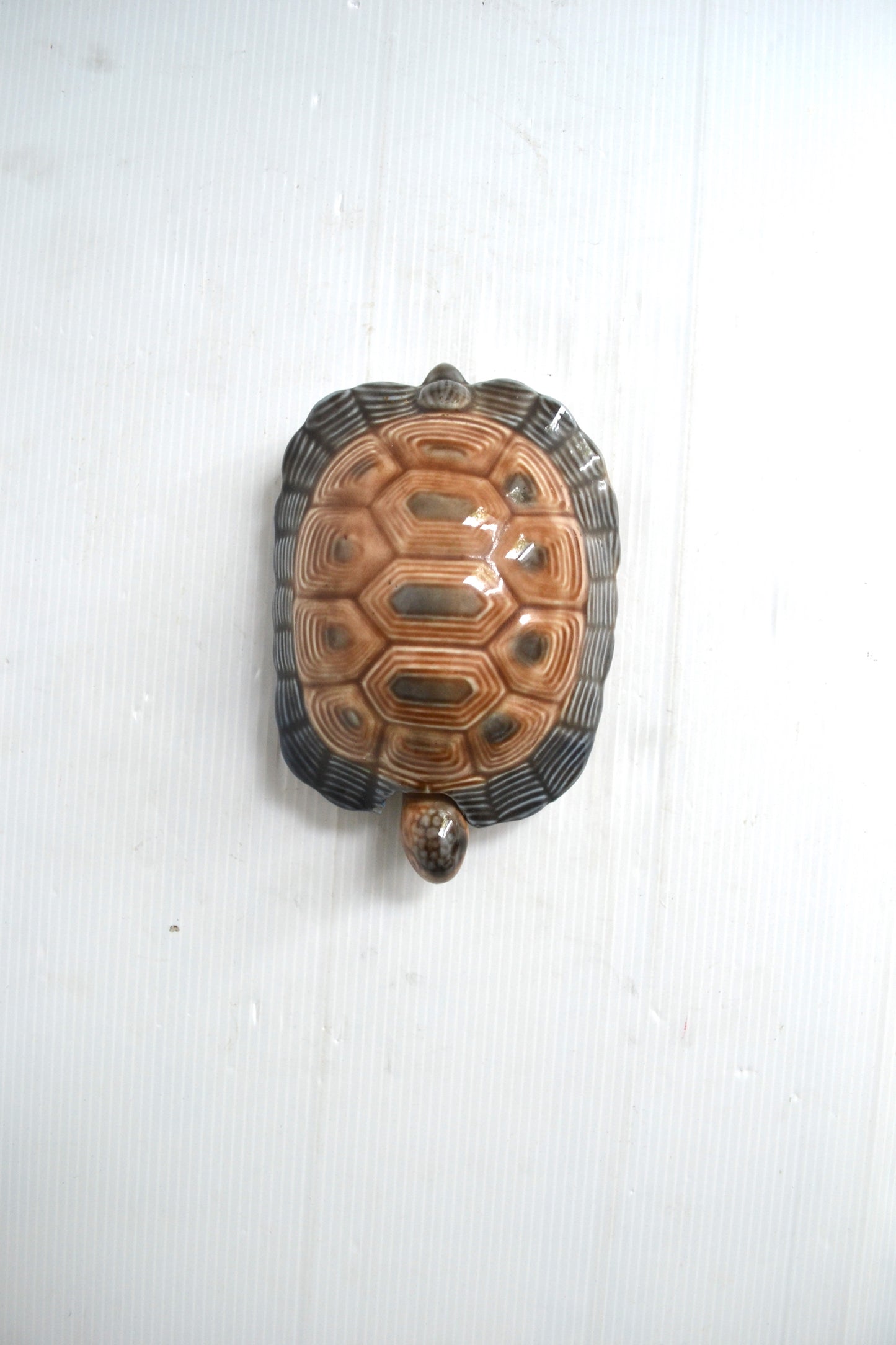 Boite Zoomorphe Tortue marine Wade England