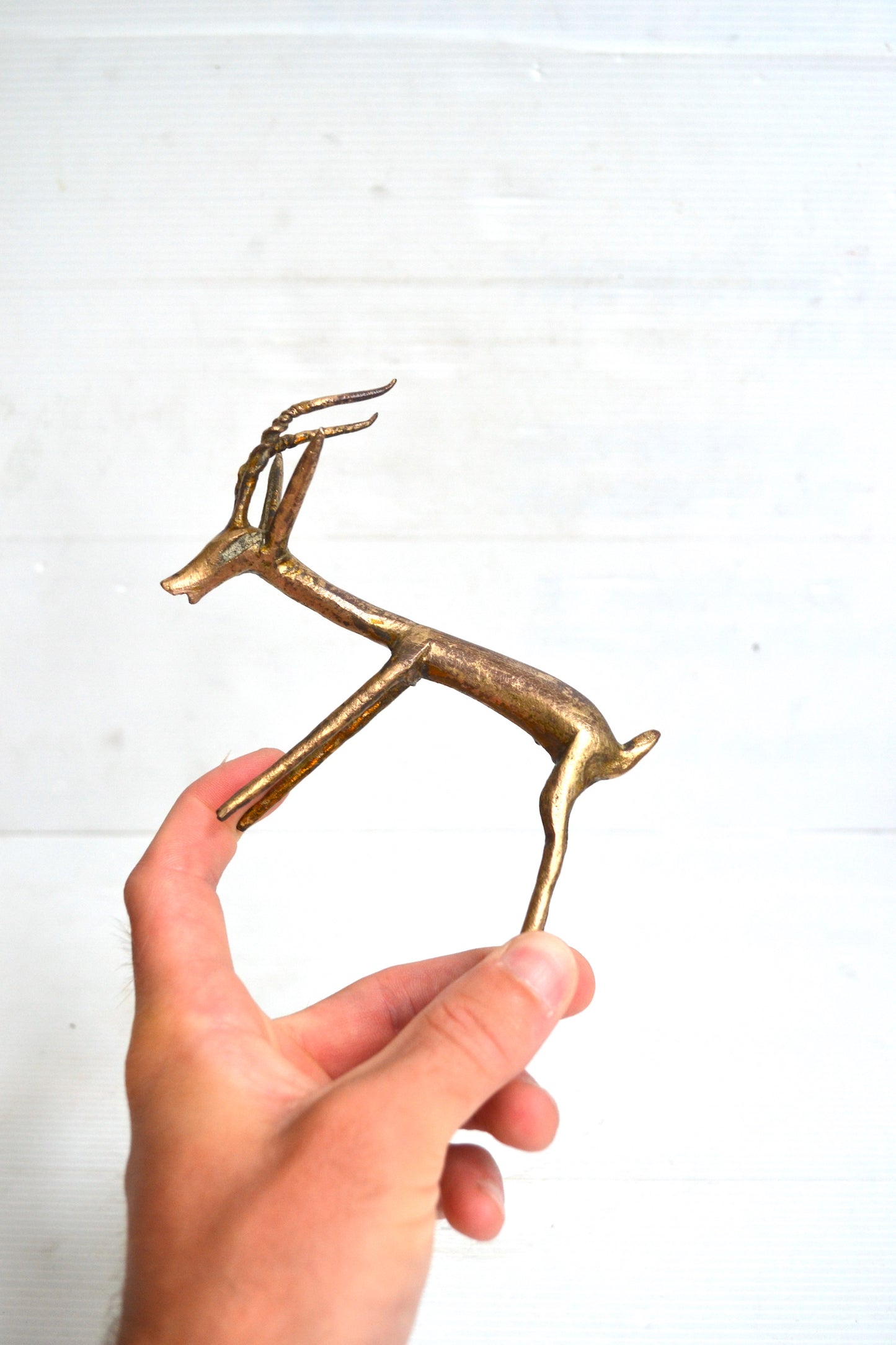 Gazelle africaine