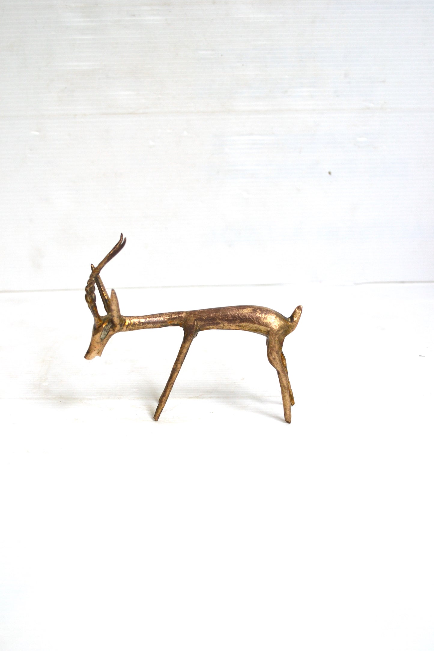 Gazelle africaine
