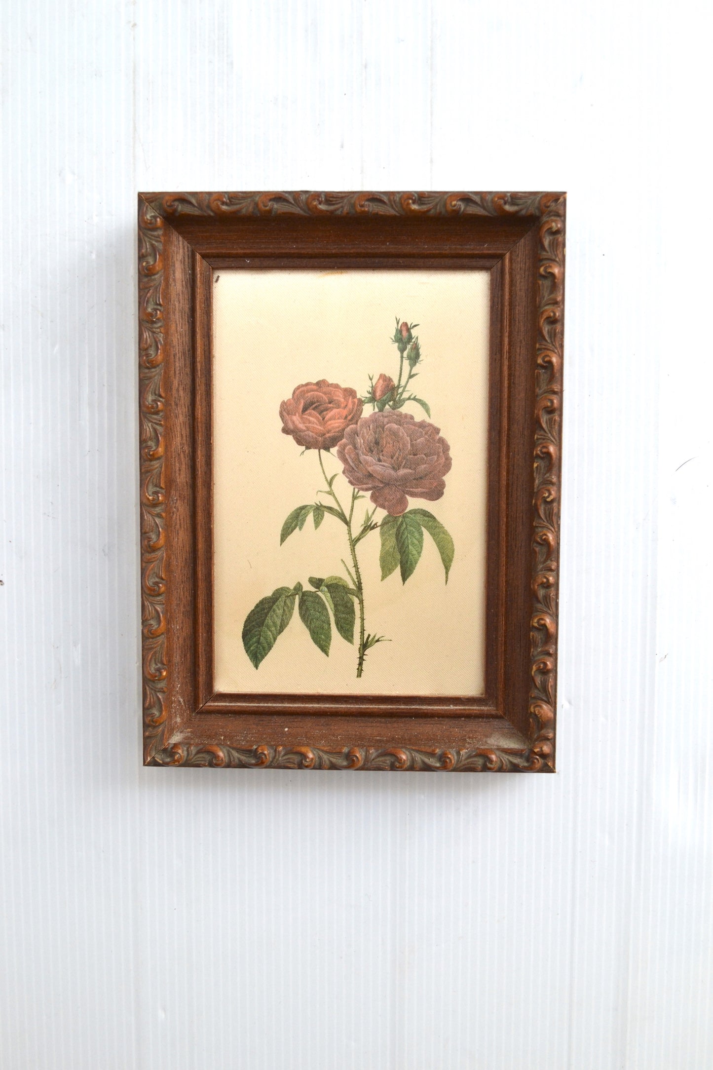 Peinture sur soie botanique