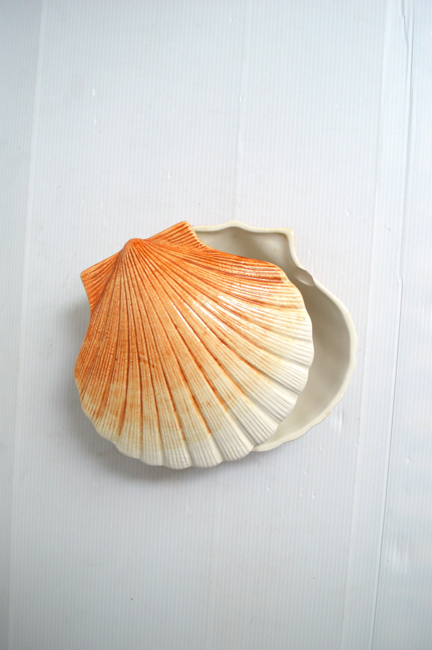 Terrine Coquillage