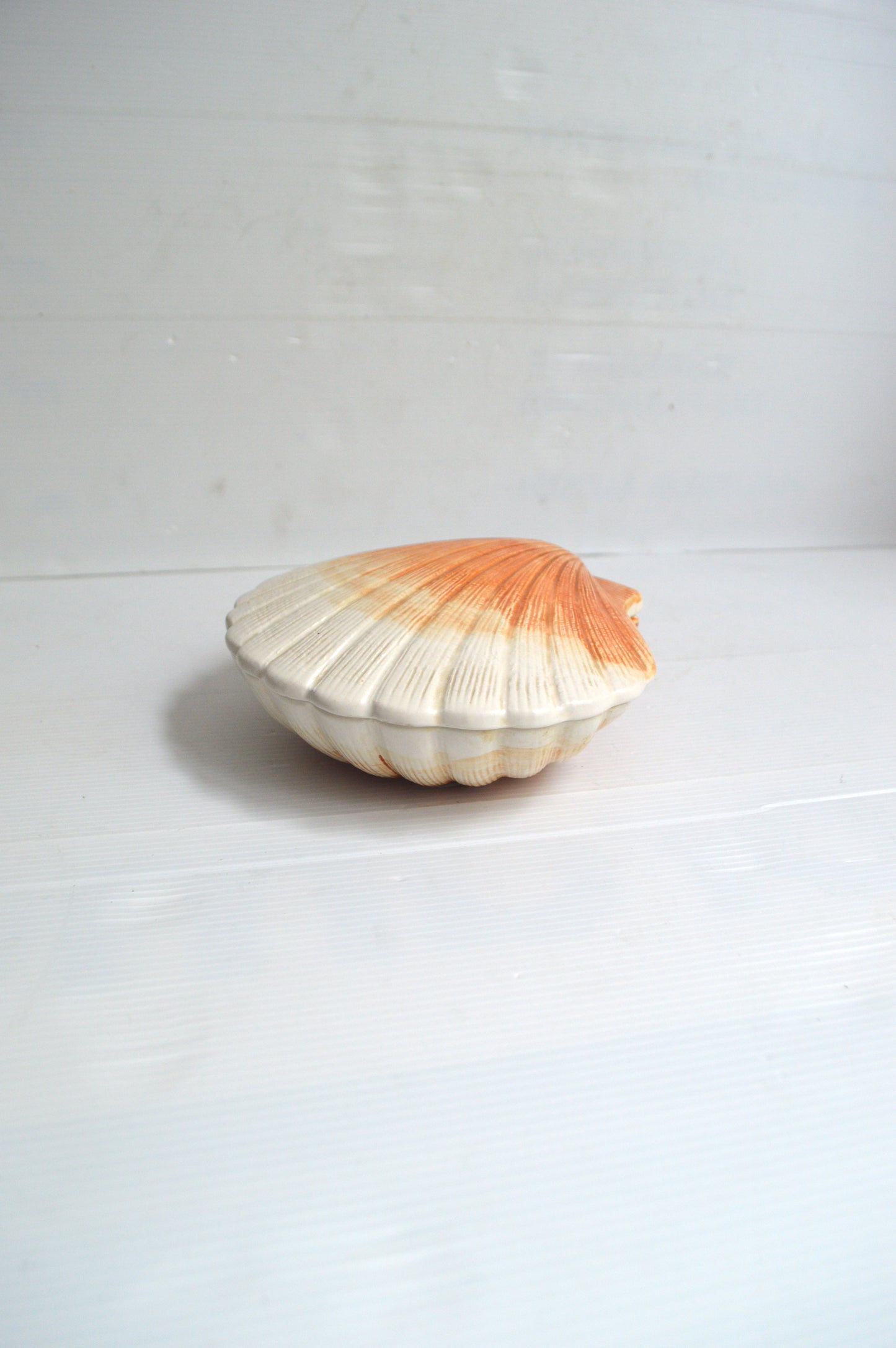 Terrine Coquillage Michel Caugant