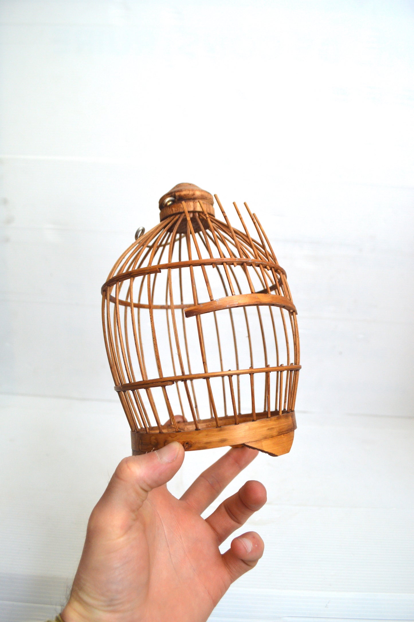 Cage à oiseaux