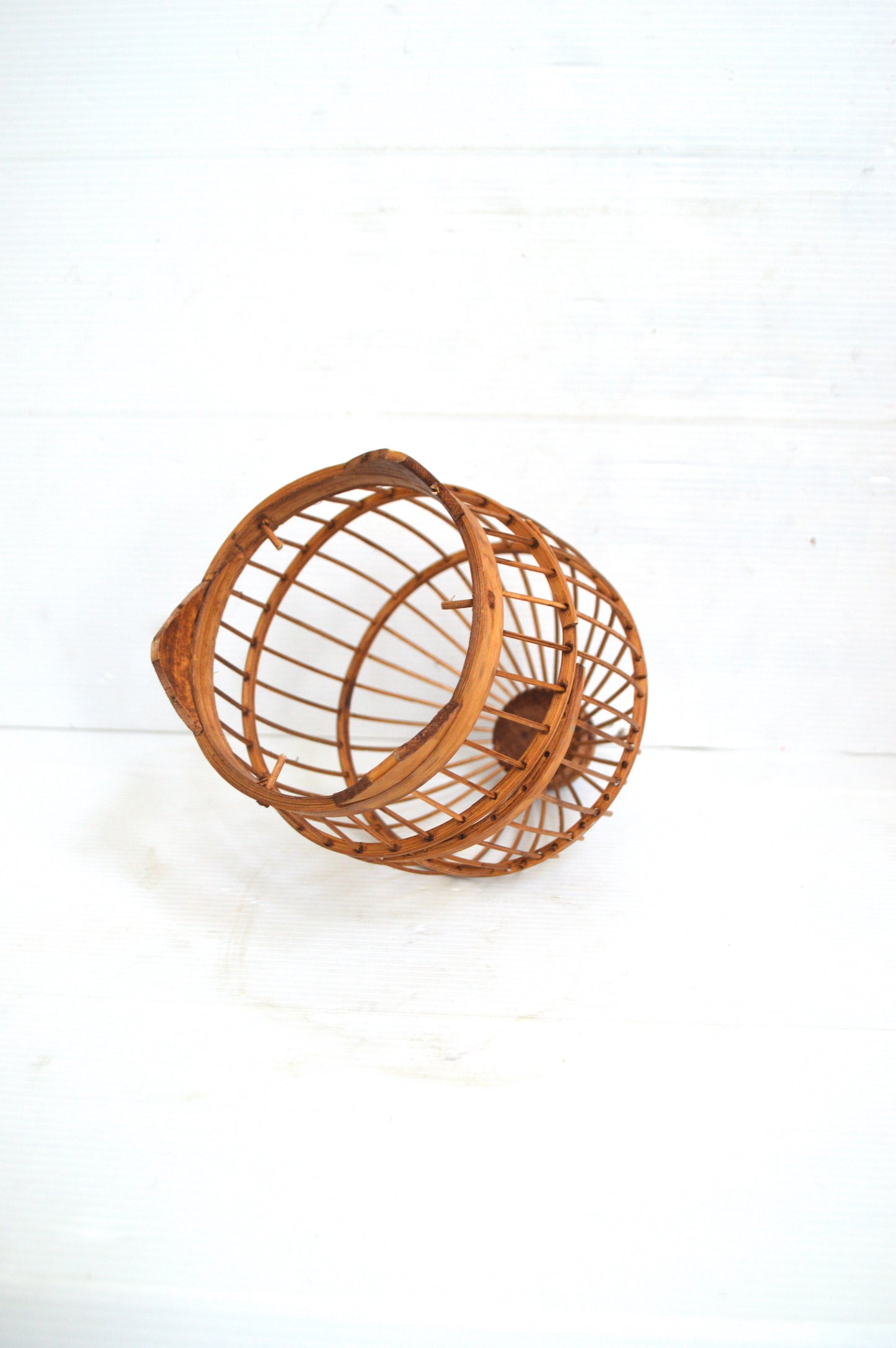 Cage à oiseaux
