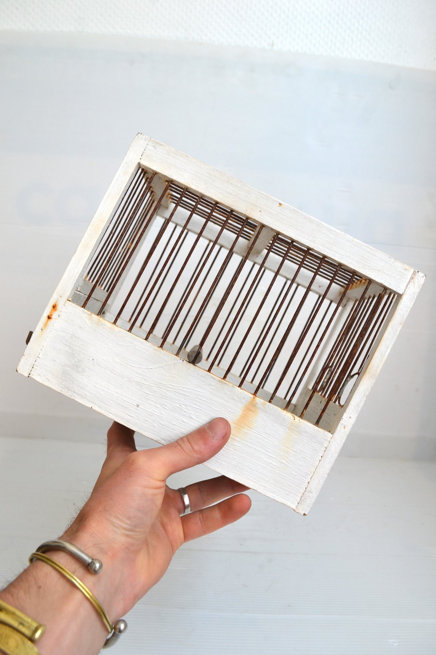 Cage à oiseaux blanche