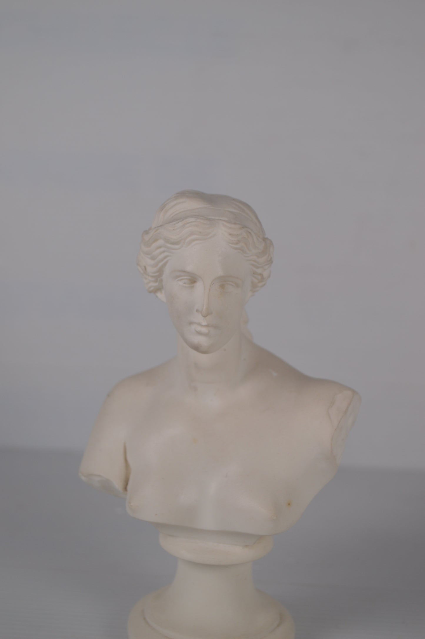 Buste de Venus