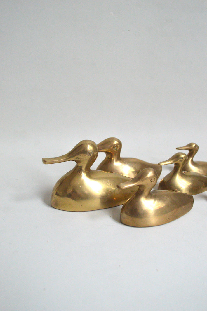 Série de canards en laiton