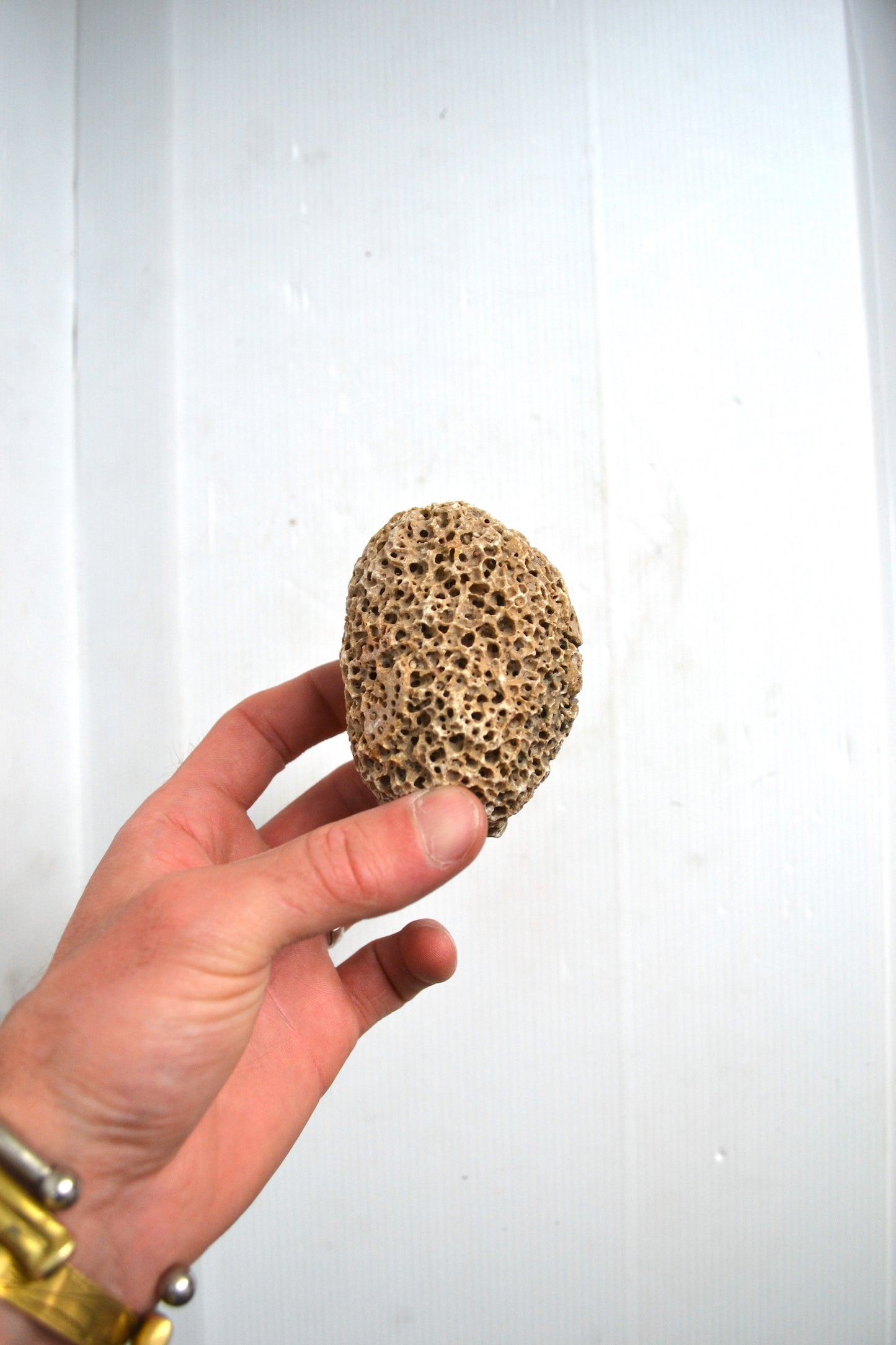 Petit corail boule