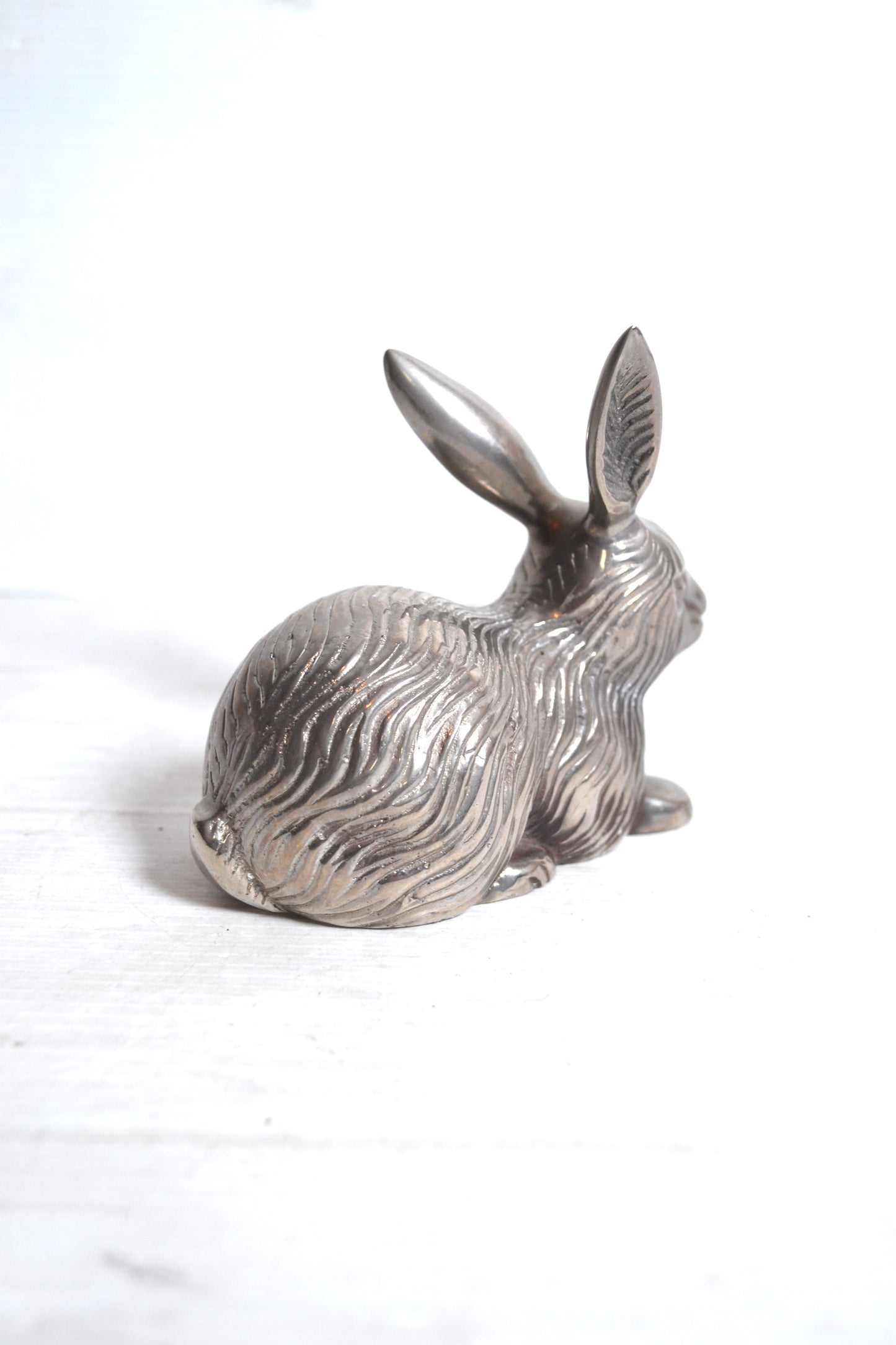 Lapin argenté