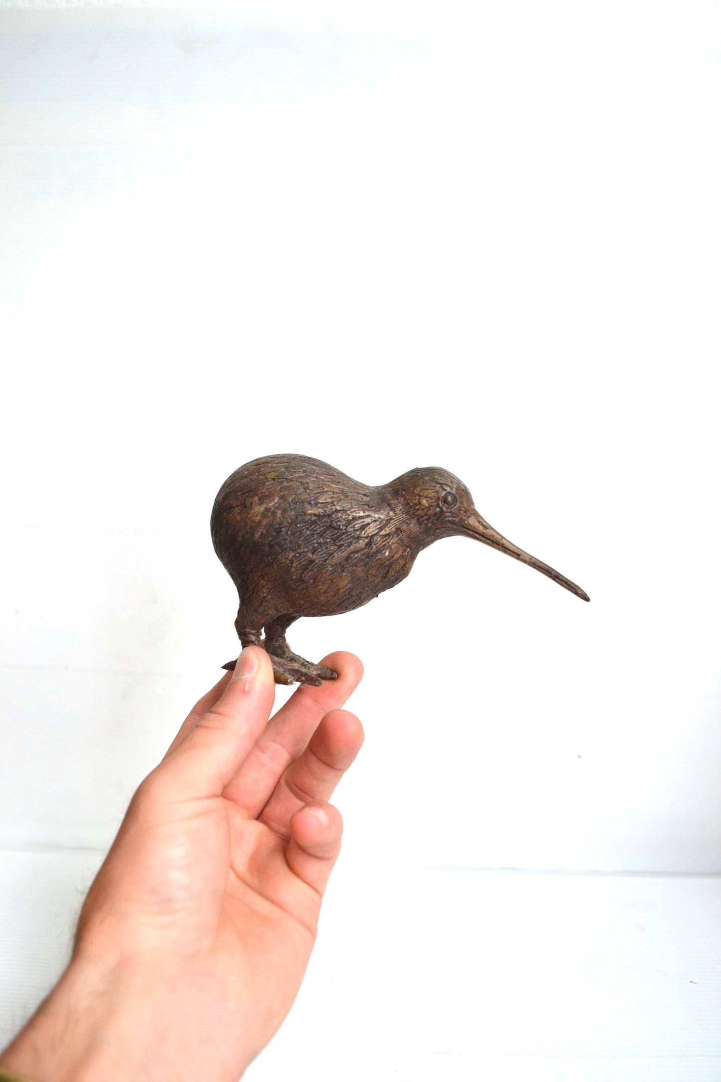 Kiwi en bronze