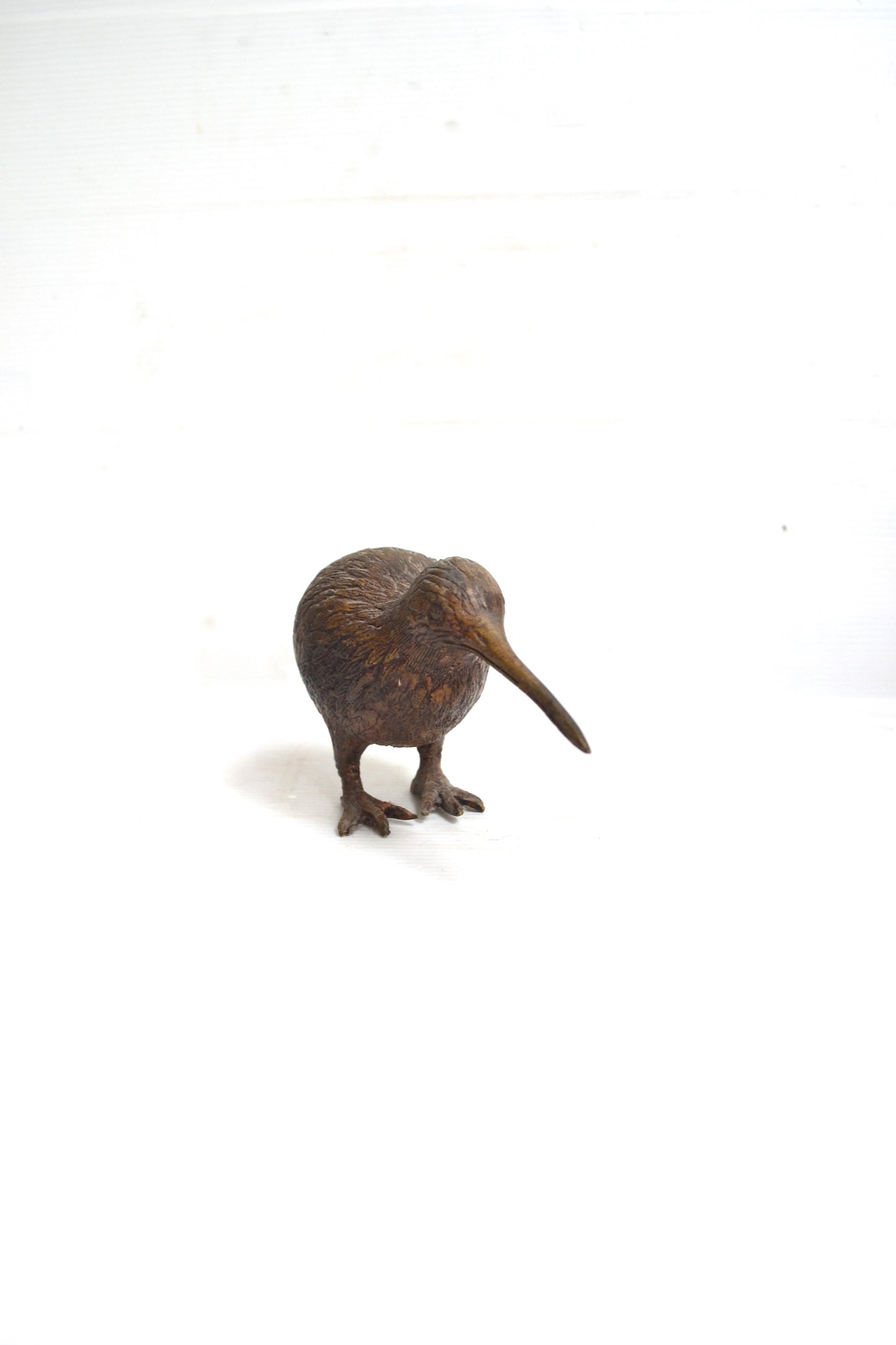 Kiwi en bronze