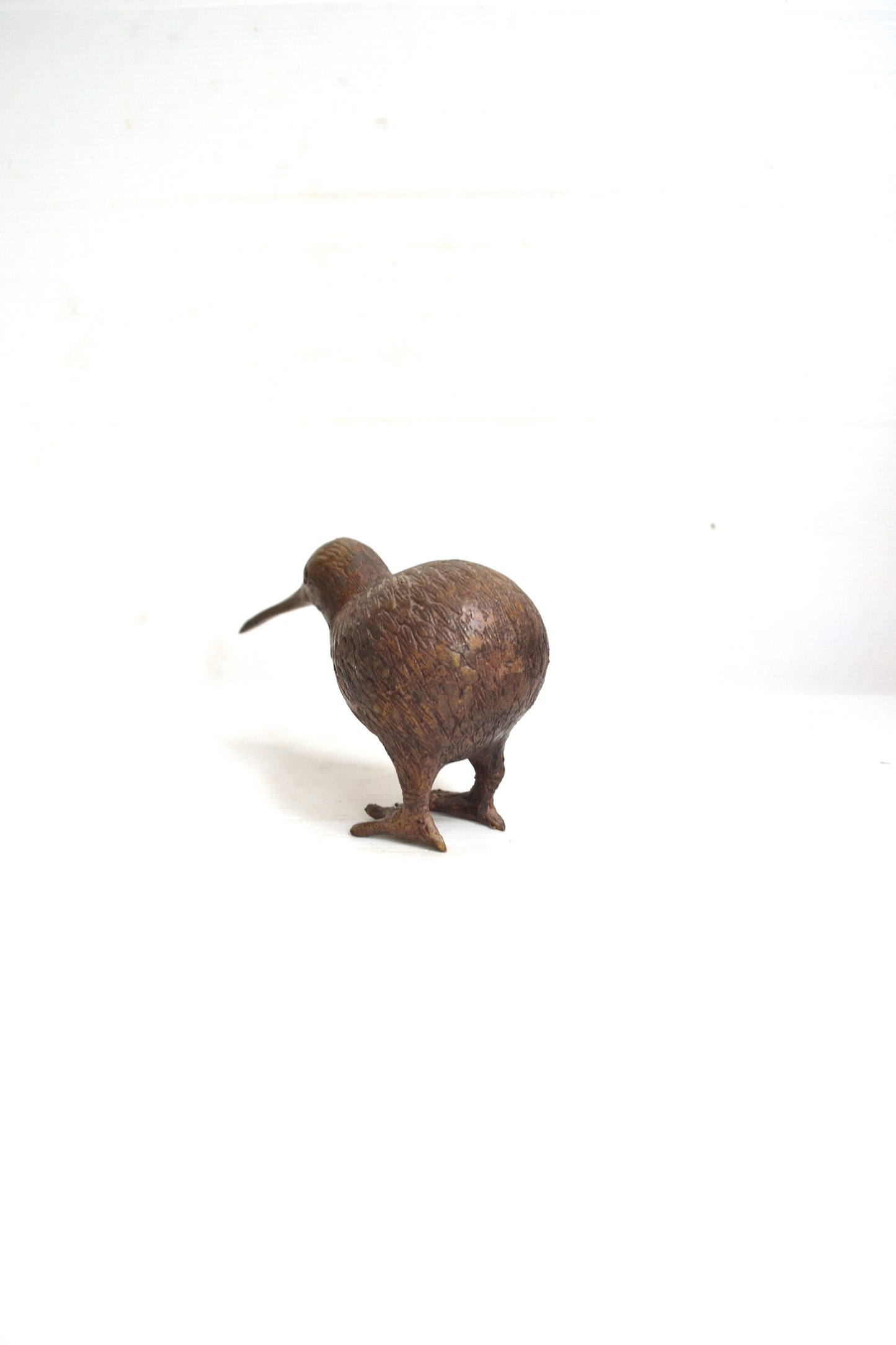 Kiwi en bronze