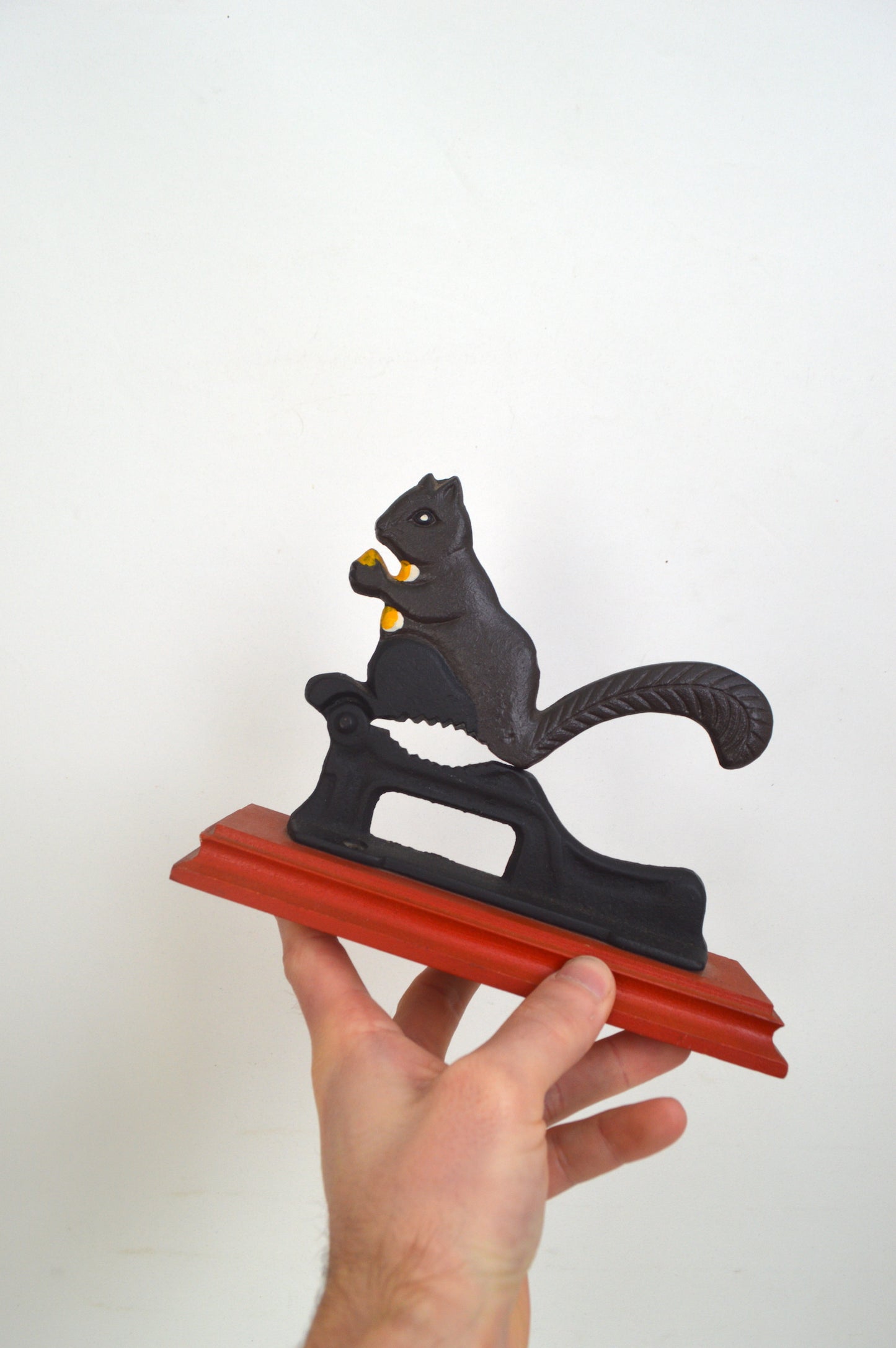 Casse-noix Écureuil