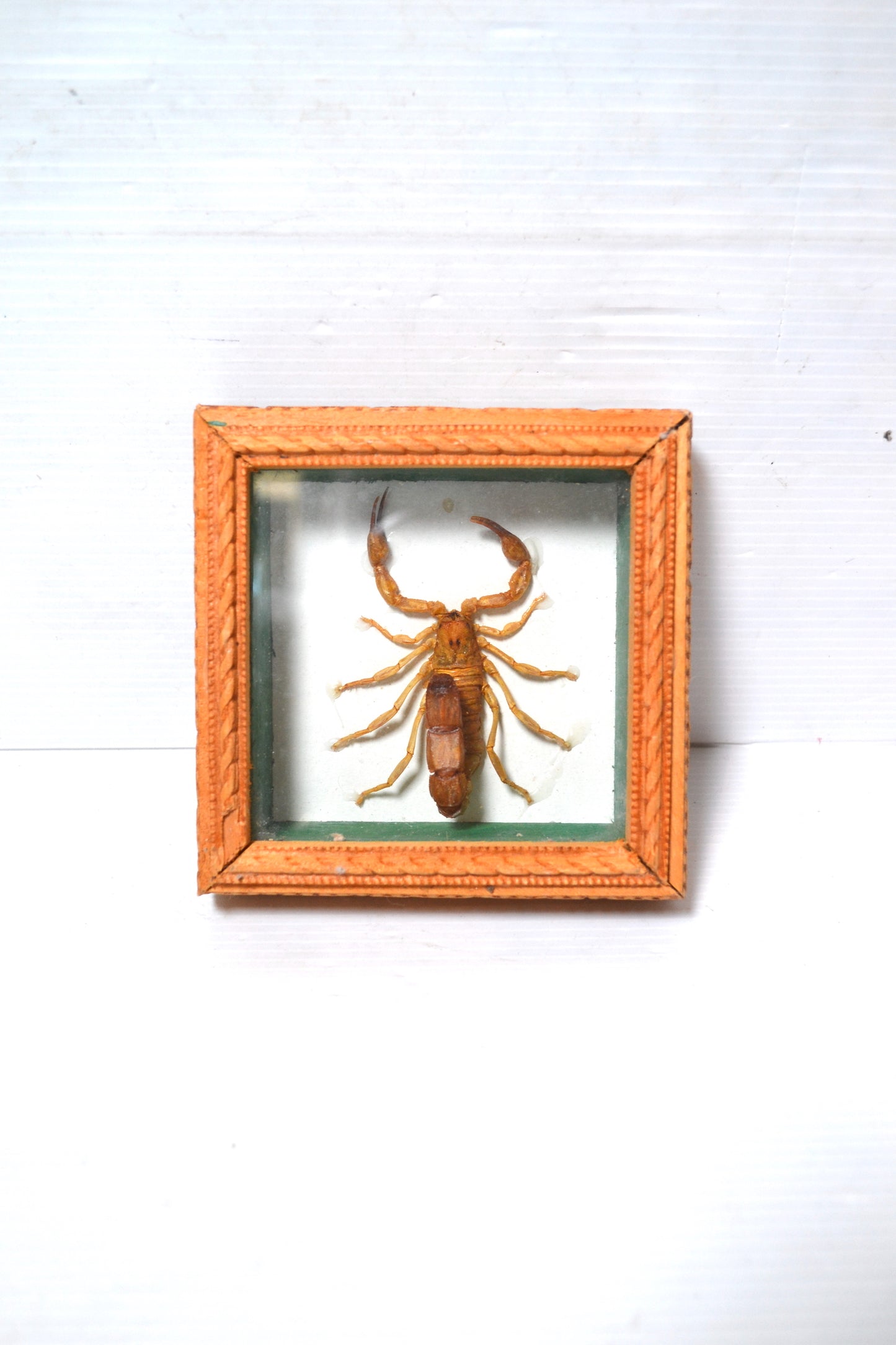 Petit cadre scorpion