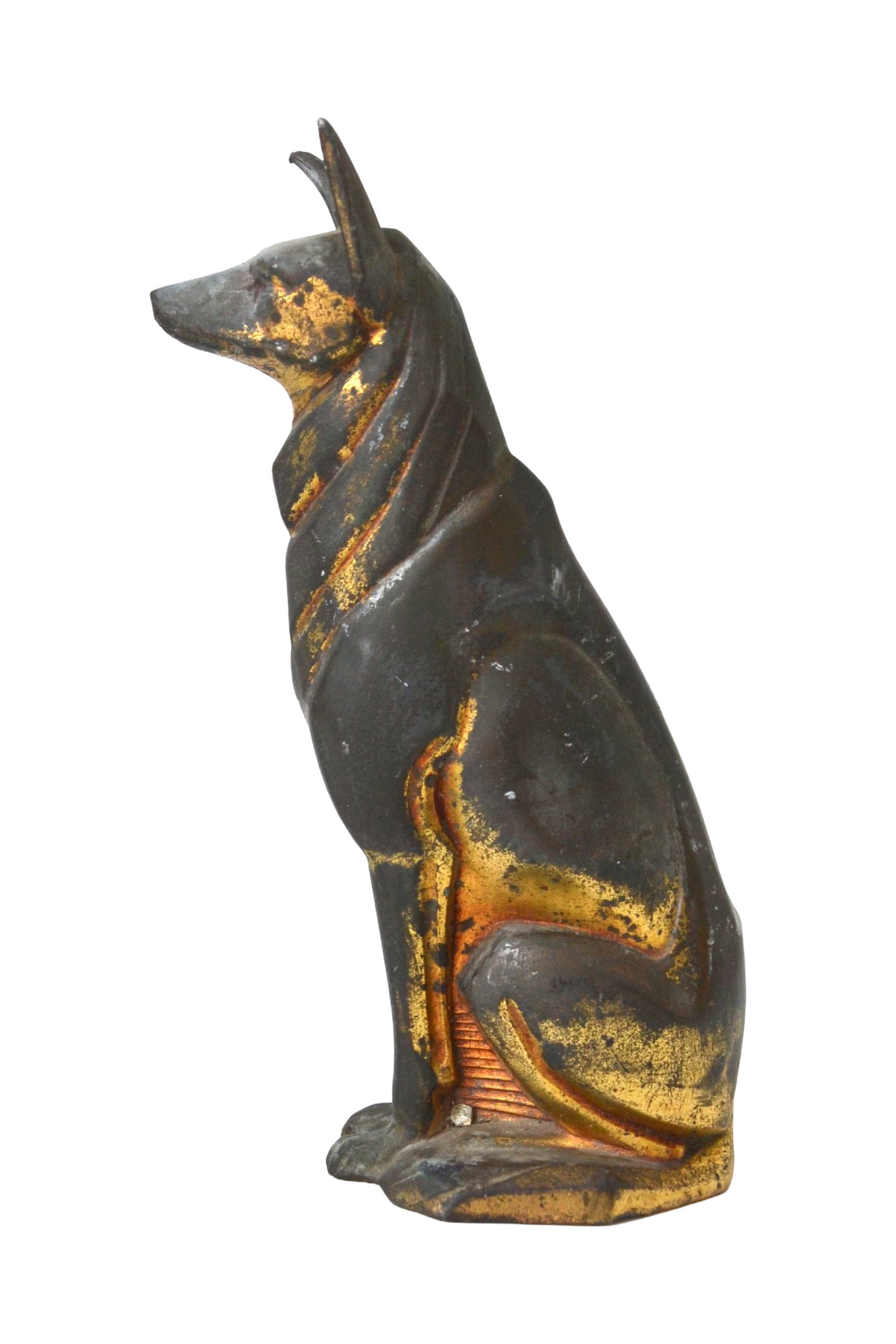 Chien doré