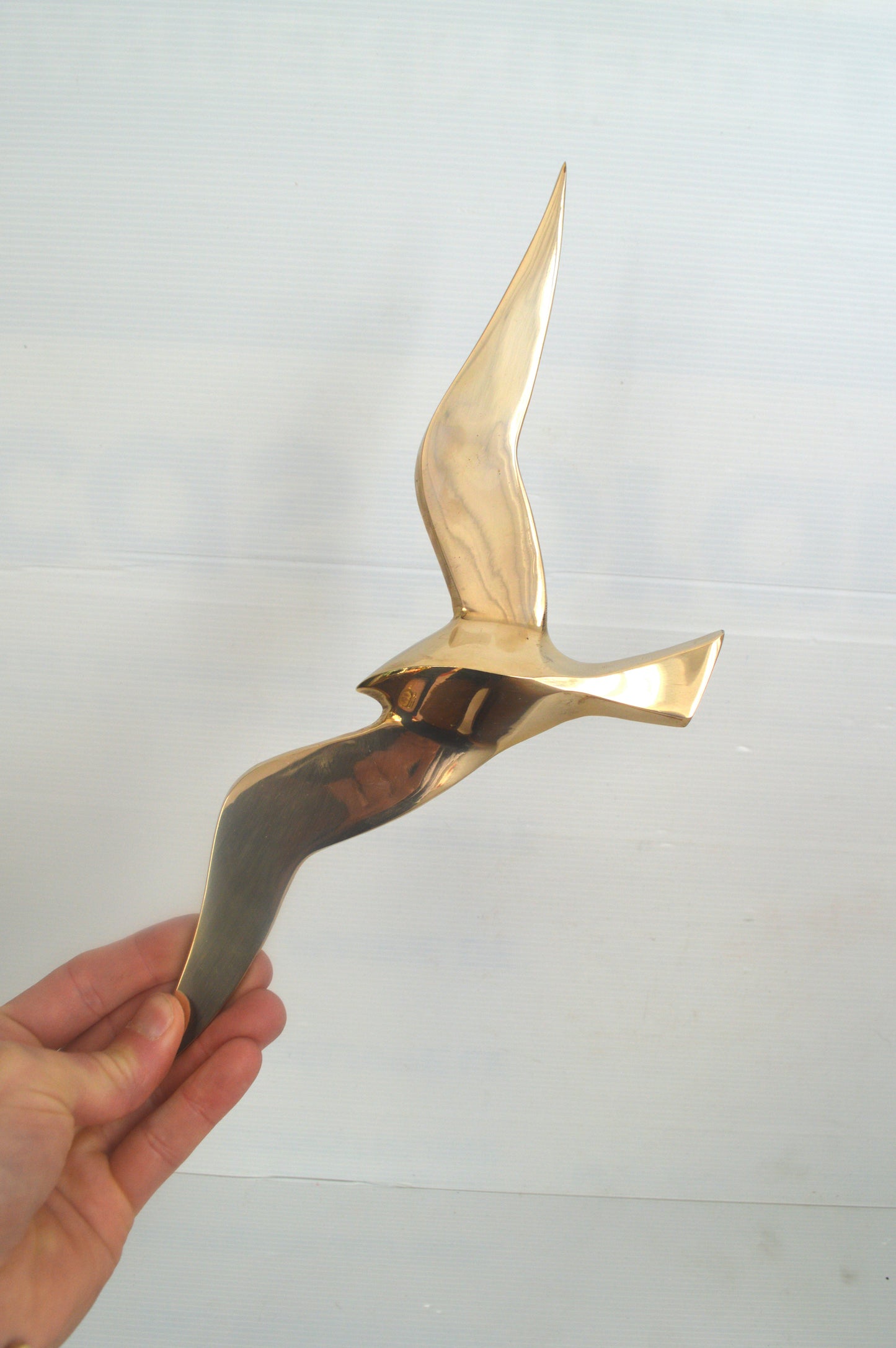 ancienne-hirondelle-dorée