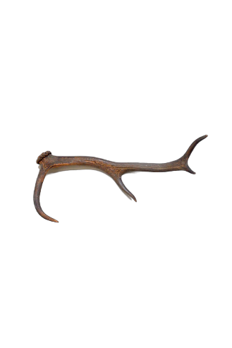 Bois de Cerf