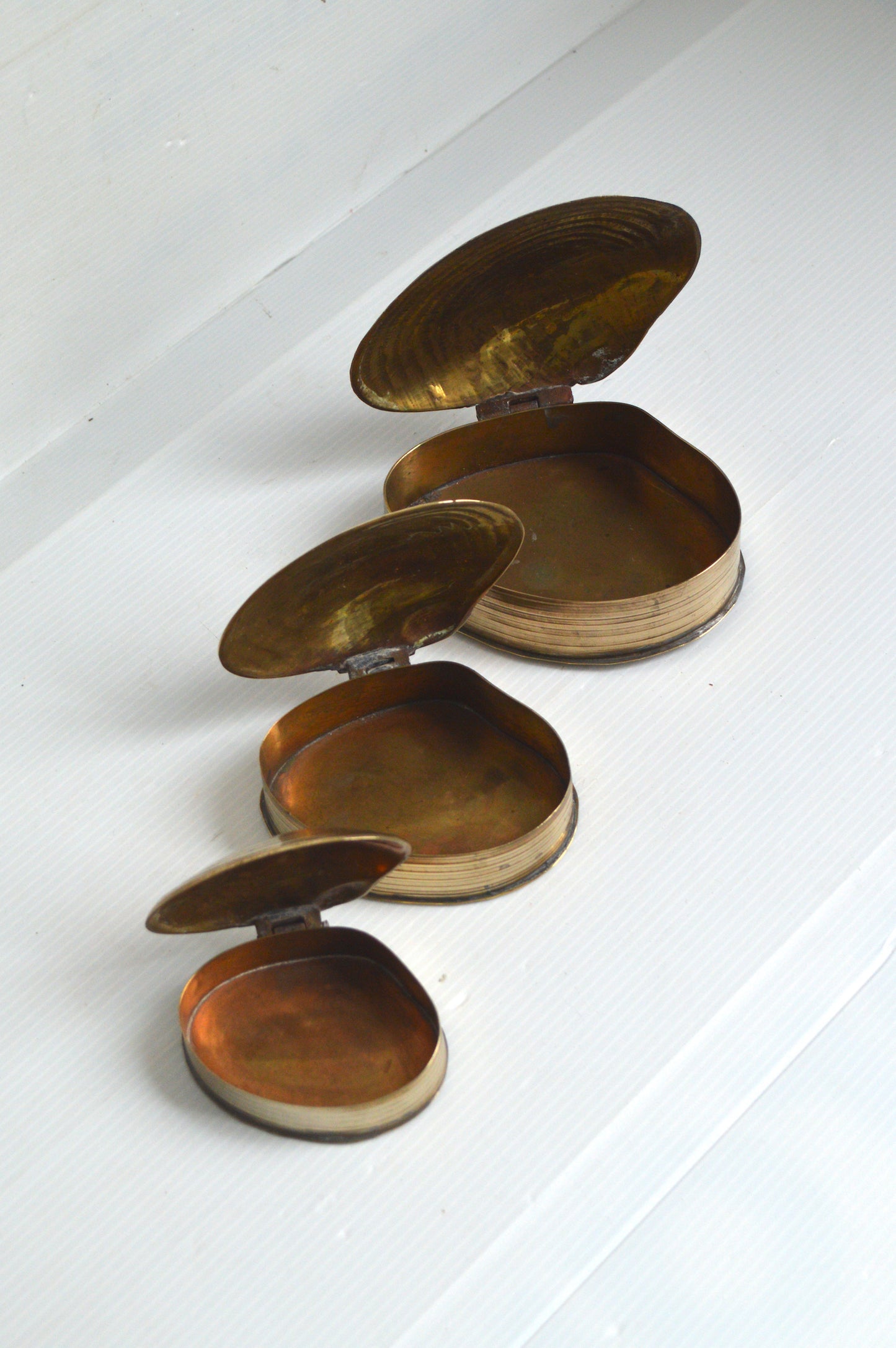 boites-coquillages-dorées