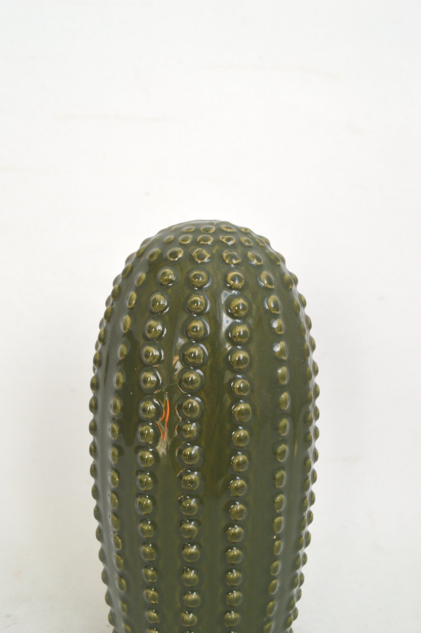 cactus-en-céramique