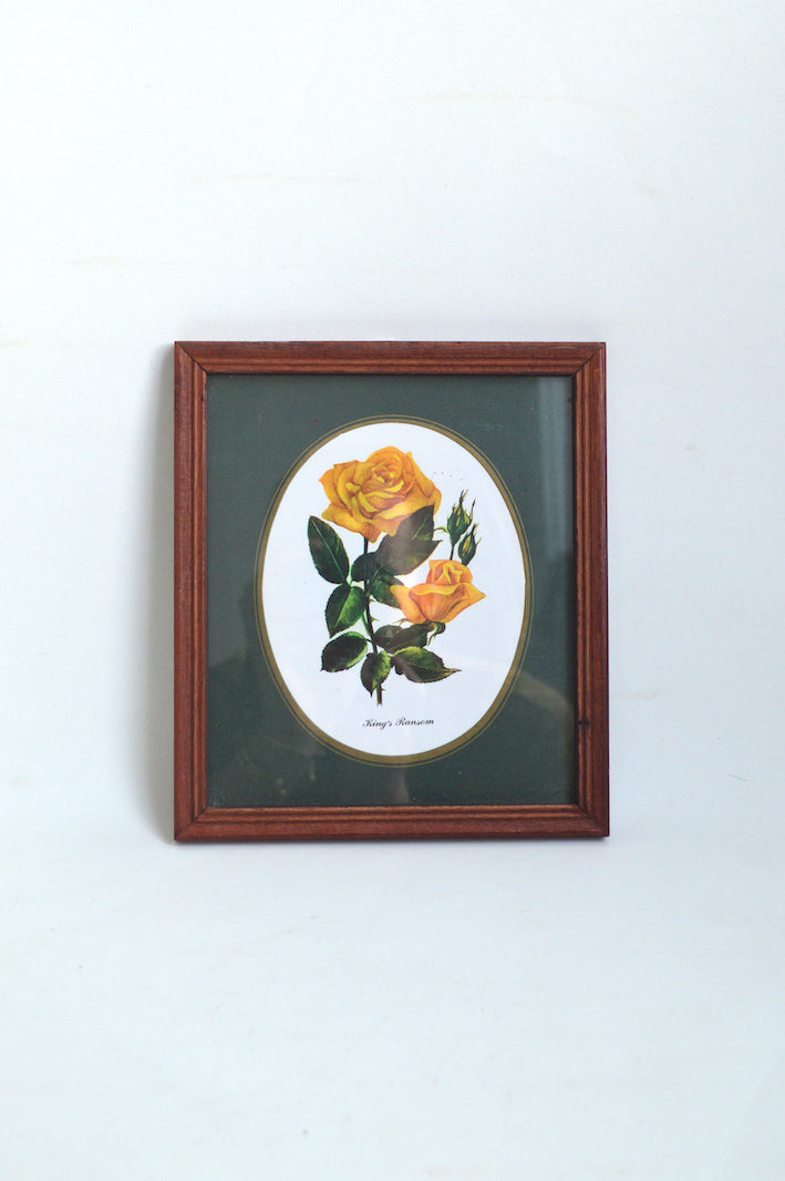 cadre-botanique-rose