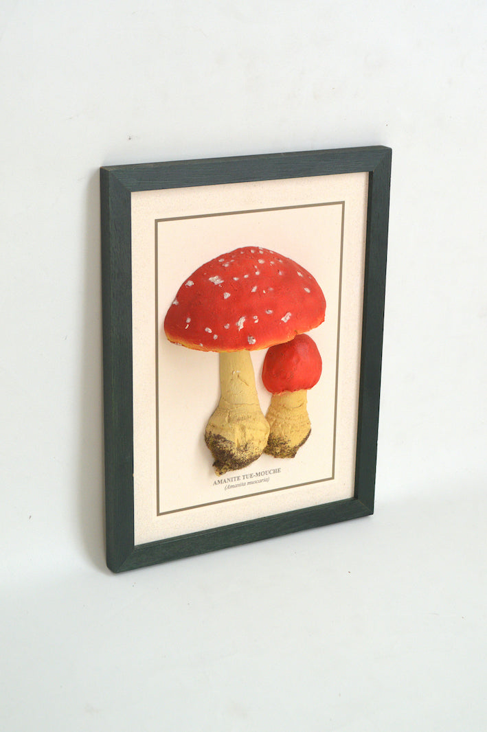 cadre champignon en relief