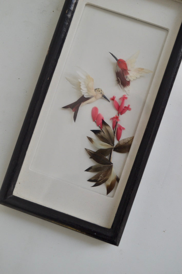 cadre oiseaux