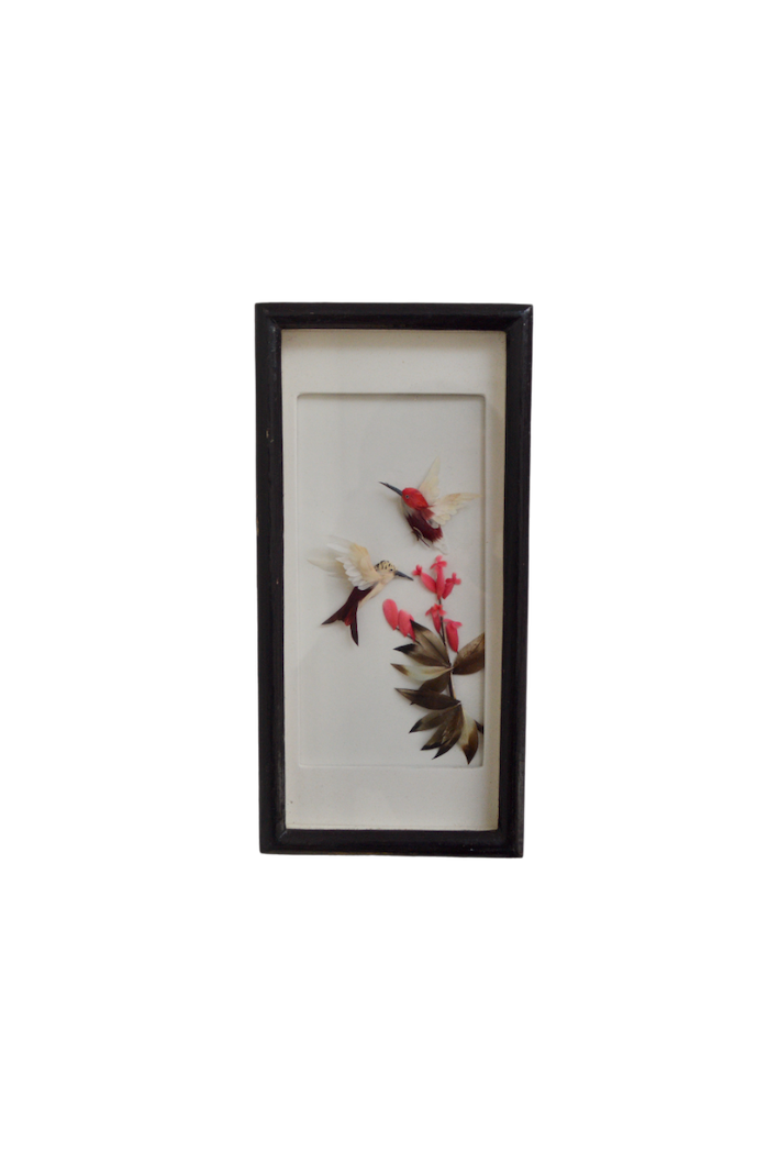 cadre vitrine oiseaux