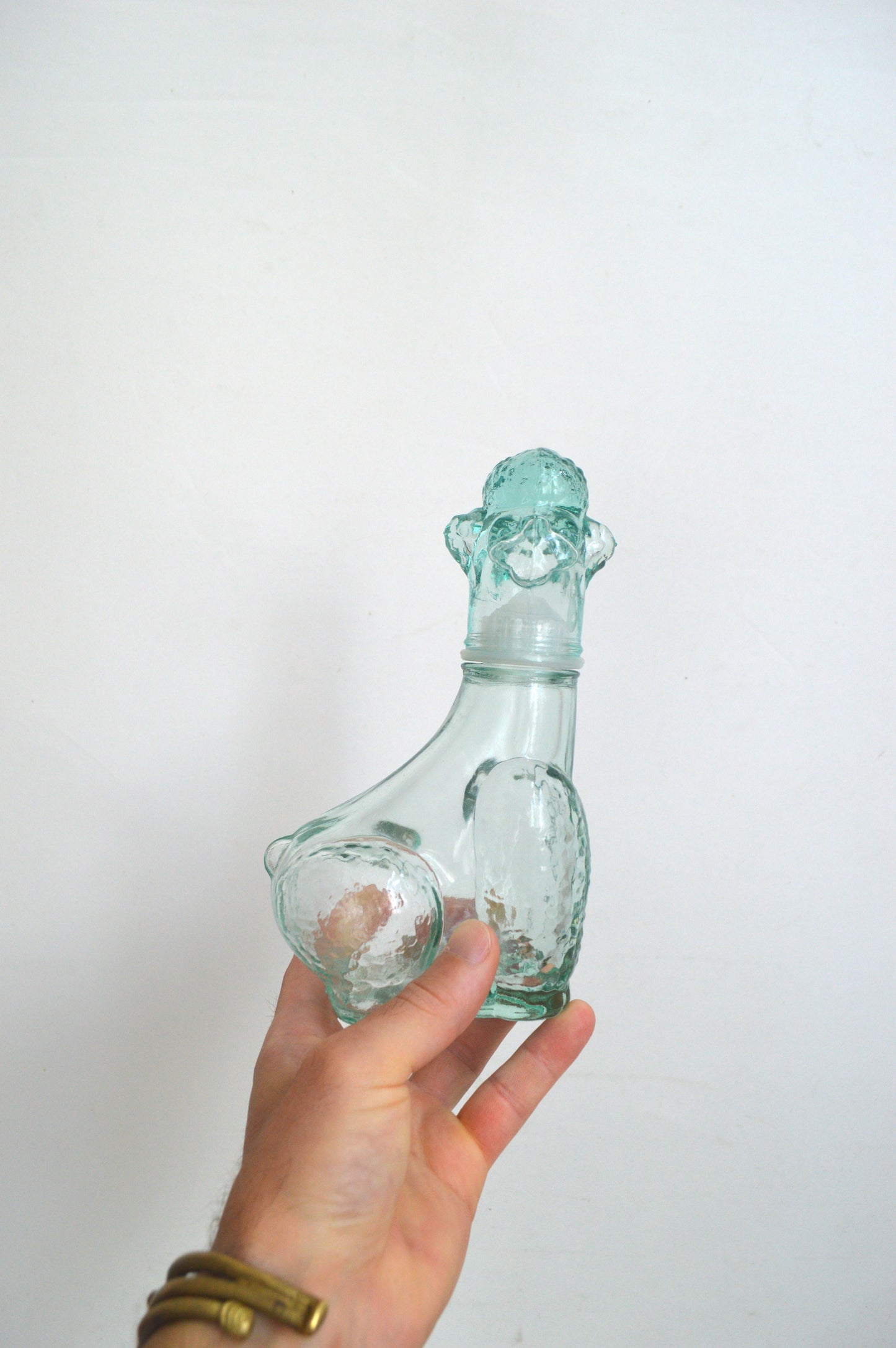 carafe-chien