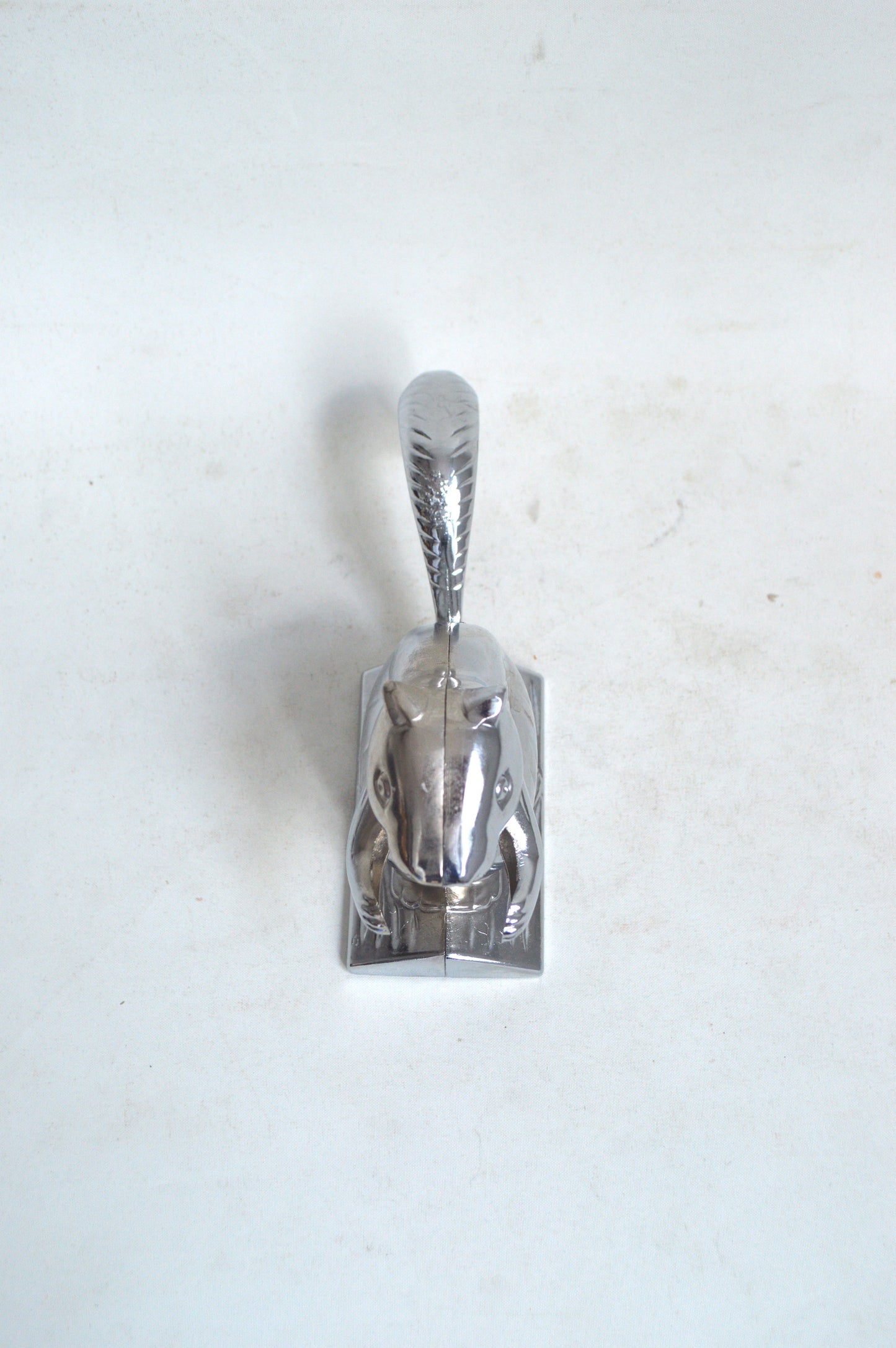 Casse-noix Écureuil