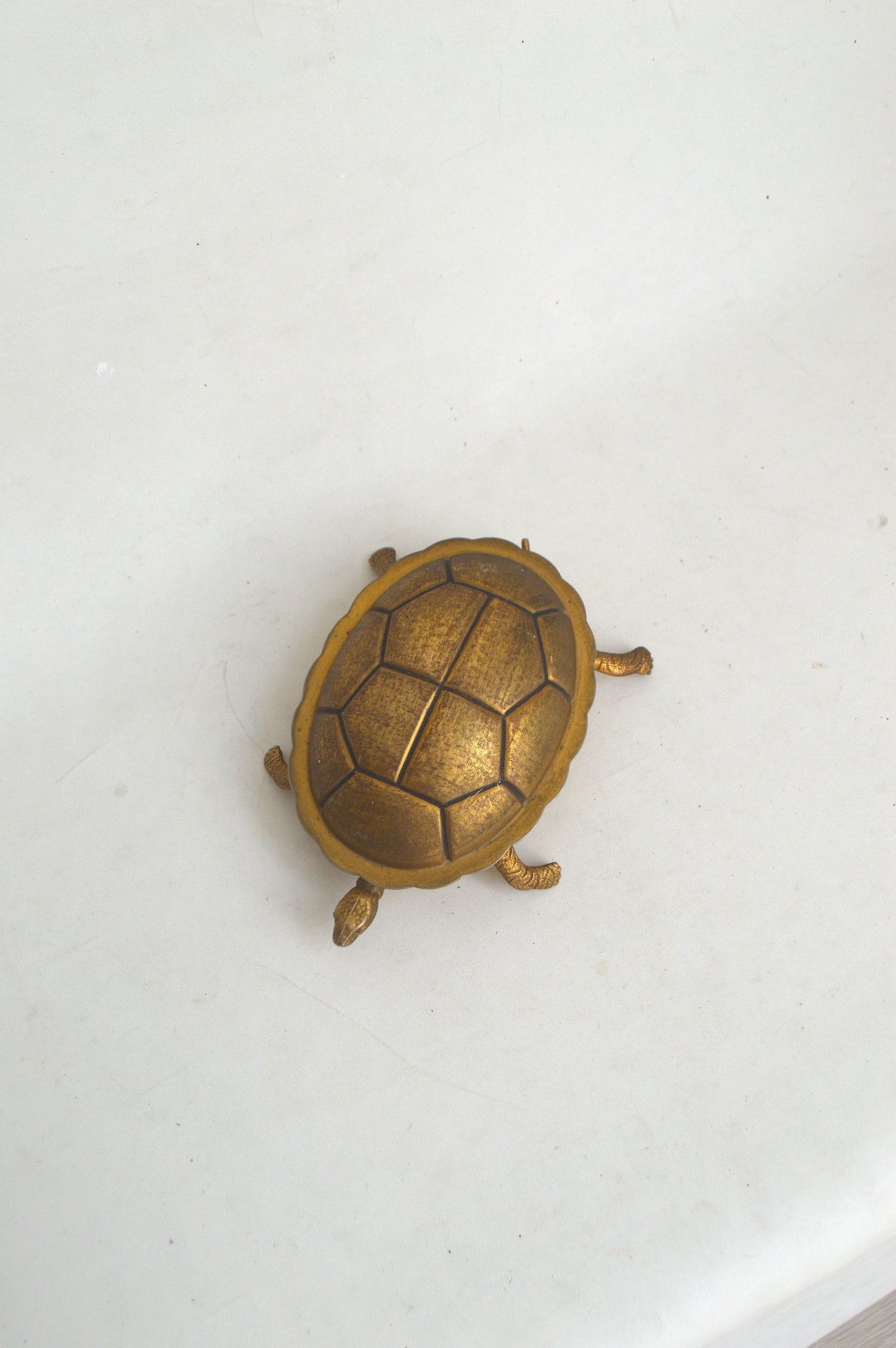 cendrier-tortue