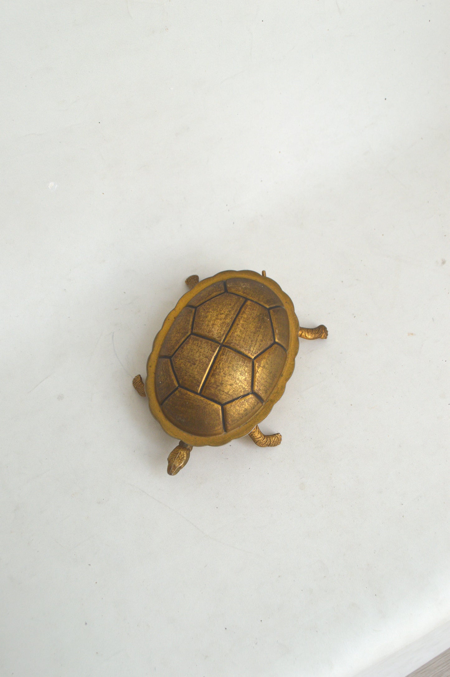 Boîte Tortue