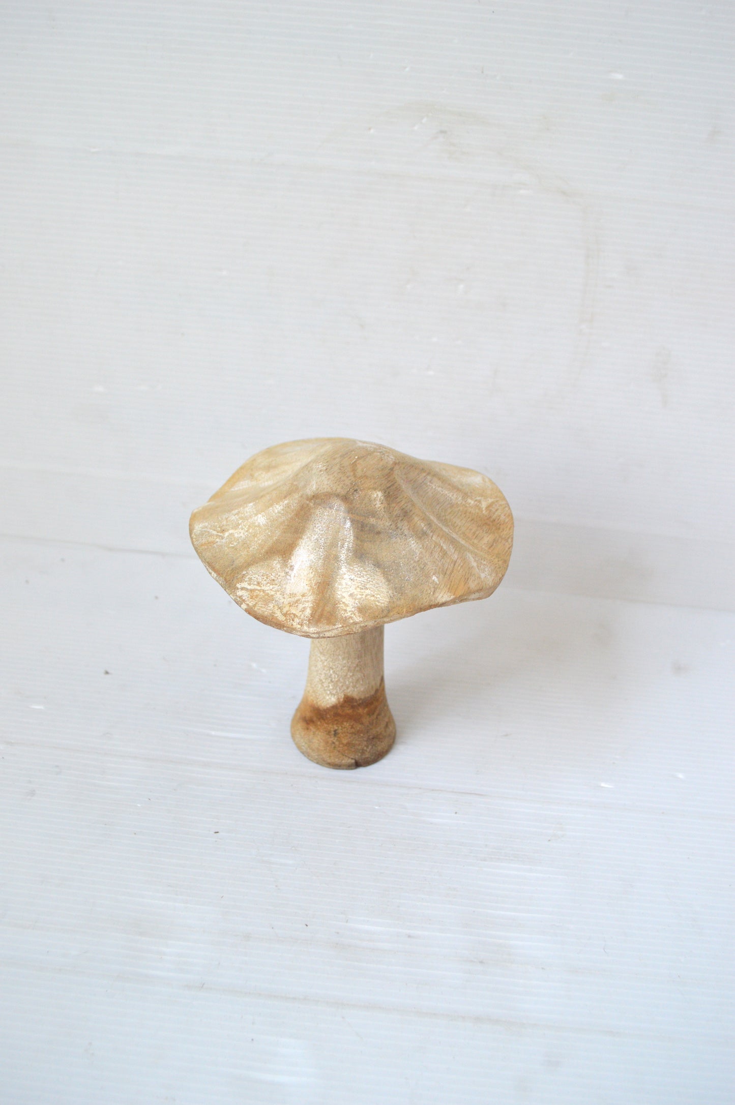 champignon-decoratif