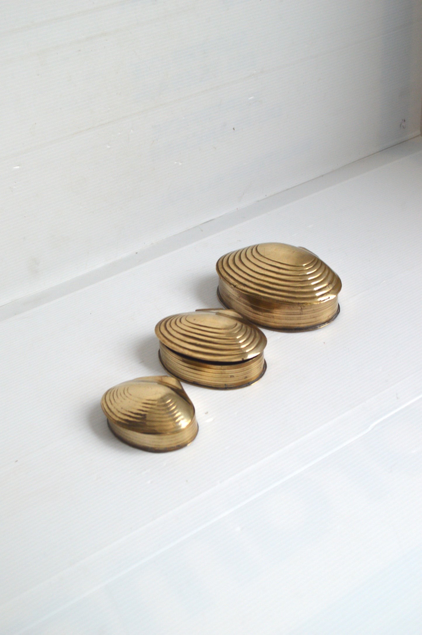 coquillages-en-laiton
