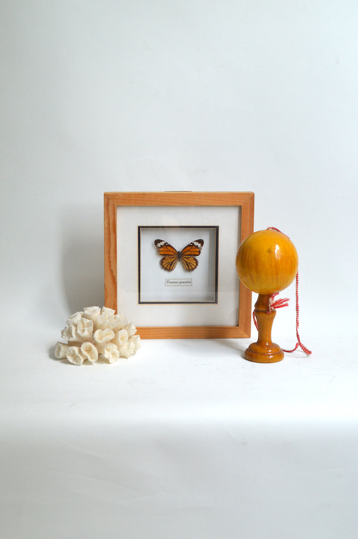corail décoratif