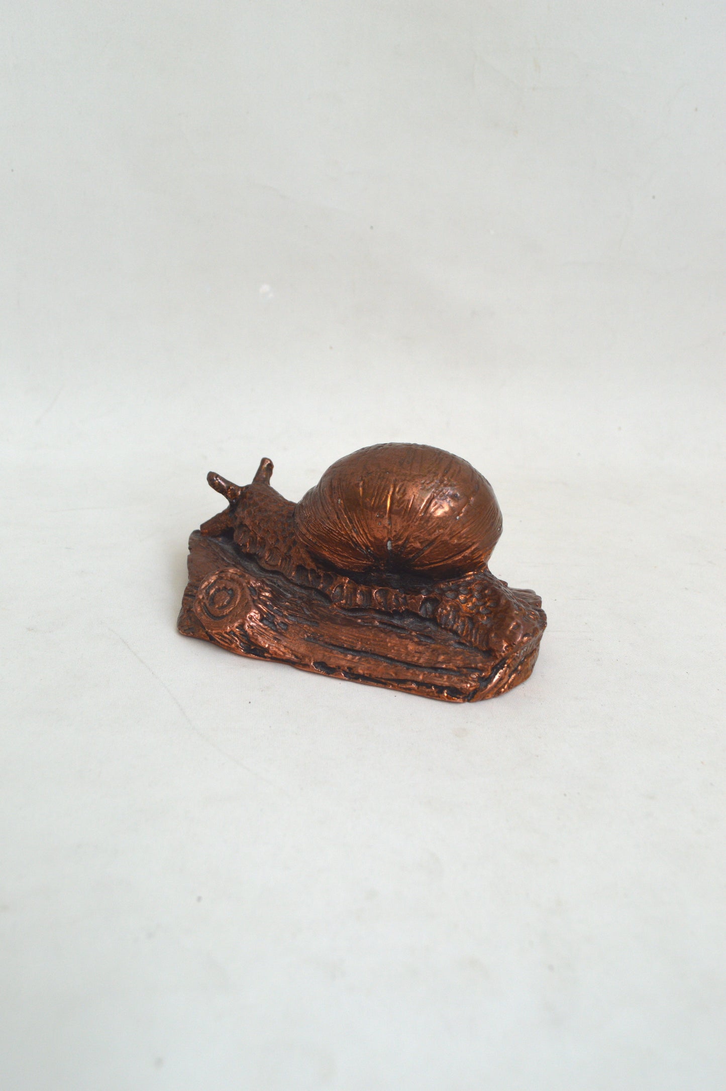 escargot-décoratif