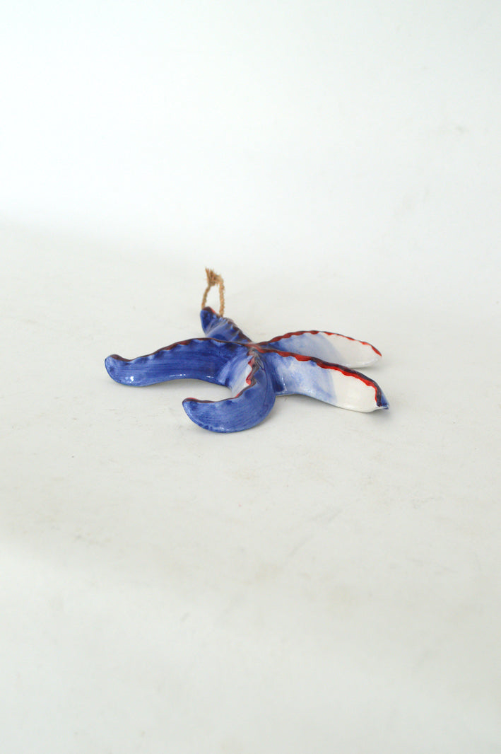 étoile de mer décorative