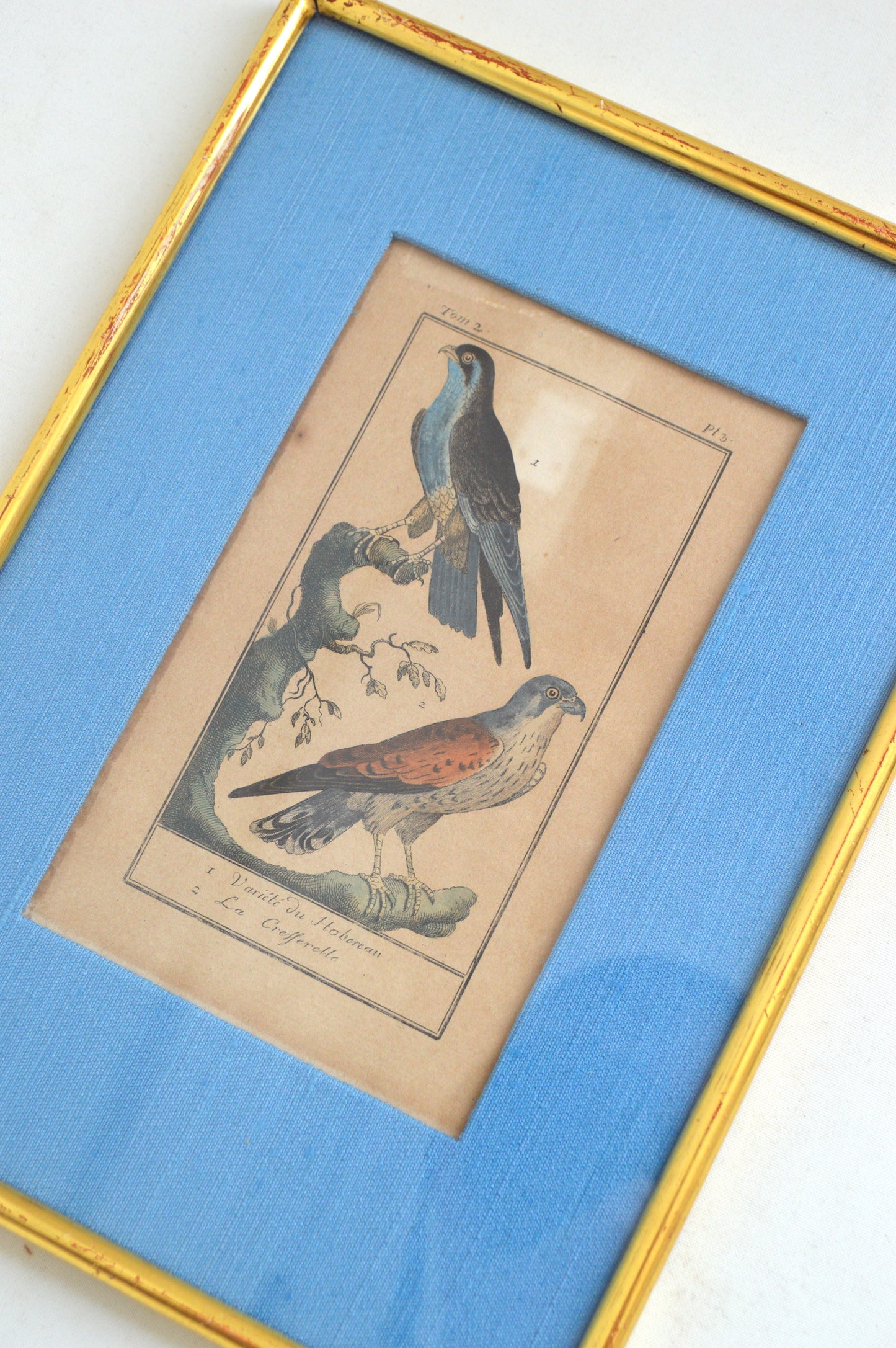 Cadre lithographique Oiseaux