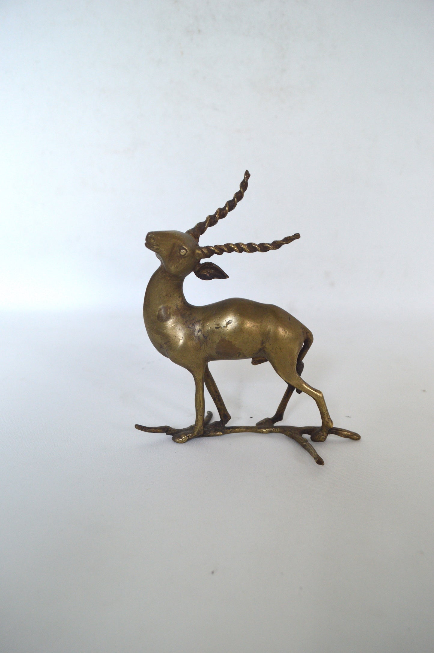 oryx-doré