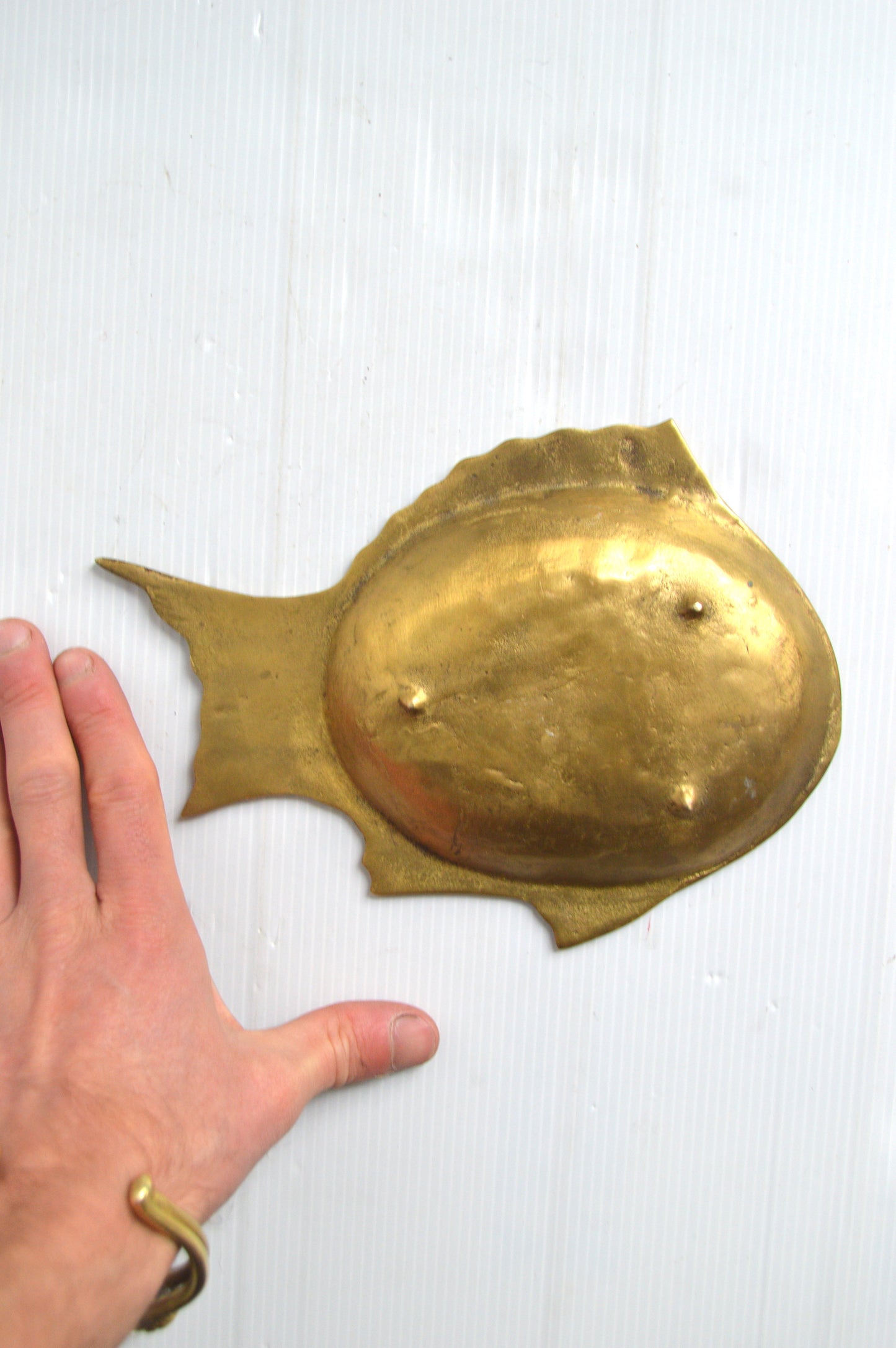 plateau-poisson-laiton