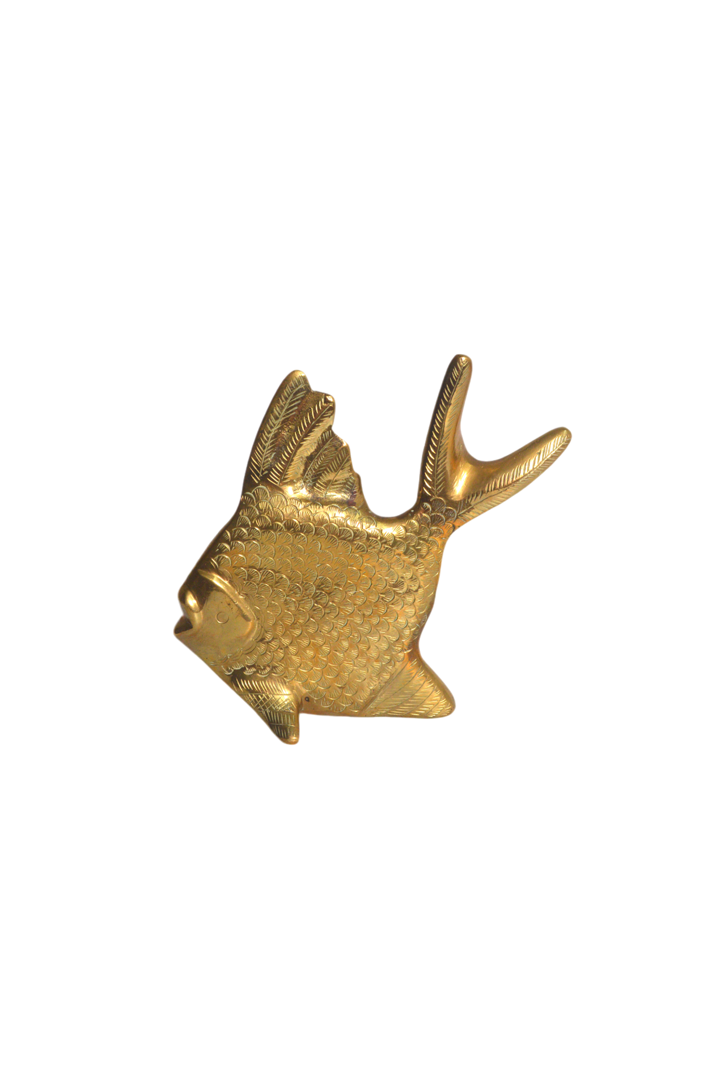 poisson-en-laiton
