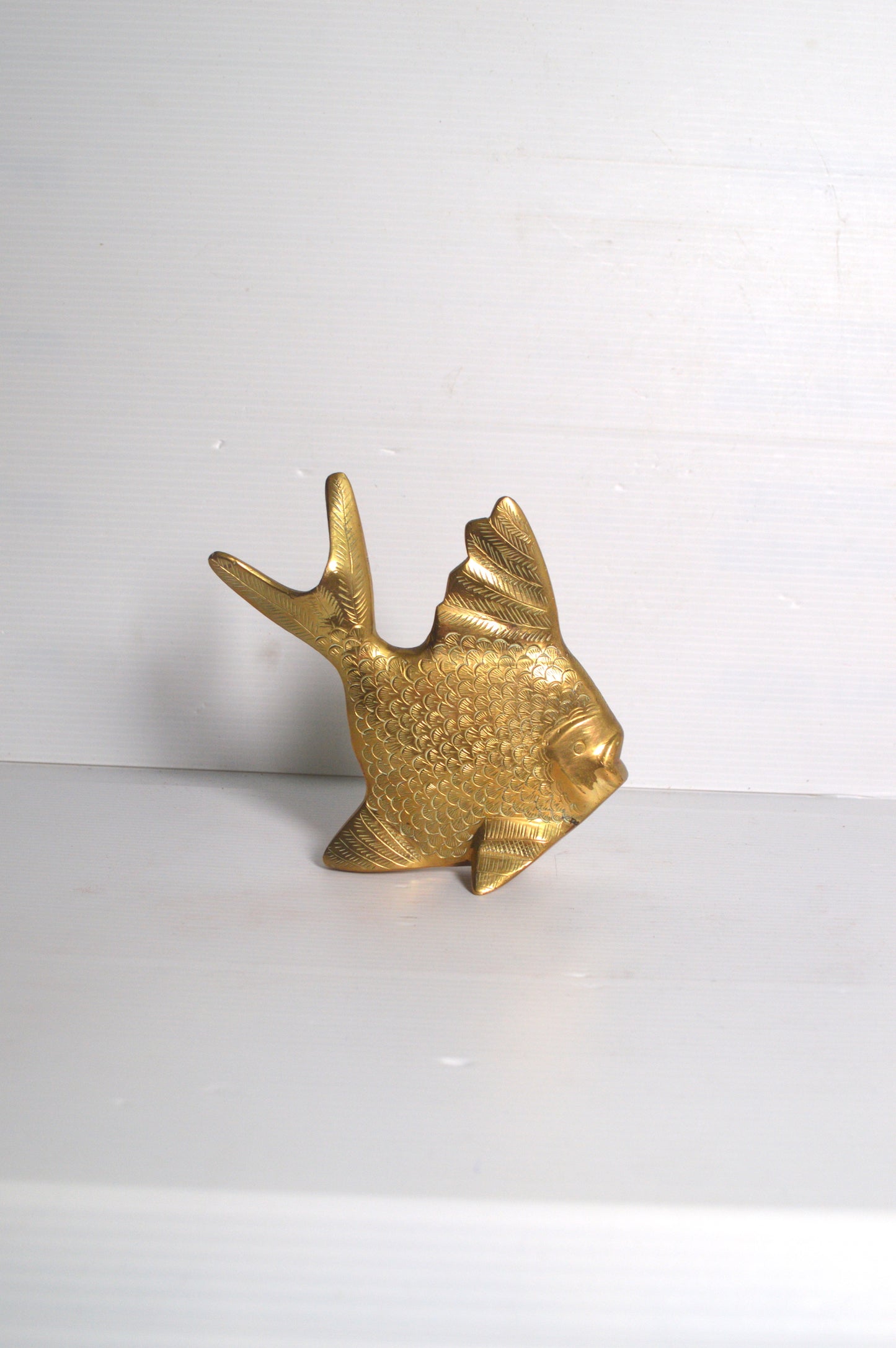 poisson-laiton